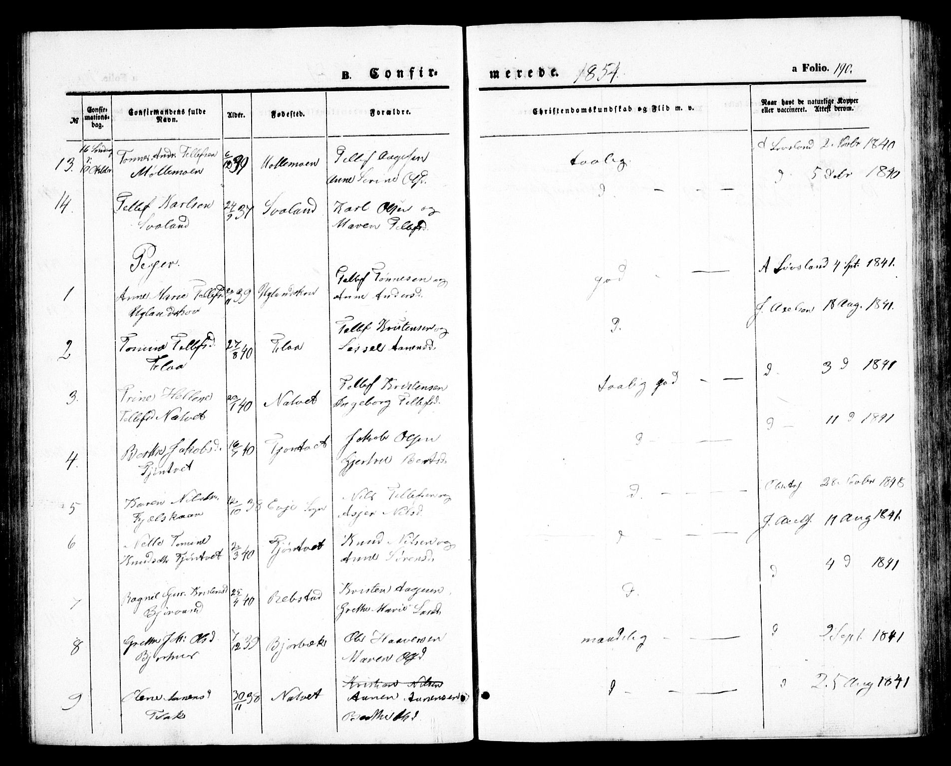 Birkenes sokneprestkontor, SAK/1111-0004/F/Fb/L0002: Parish register (copy) no. B 2, 1849-1876, p. 190