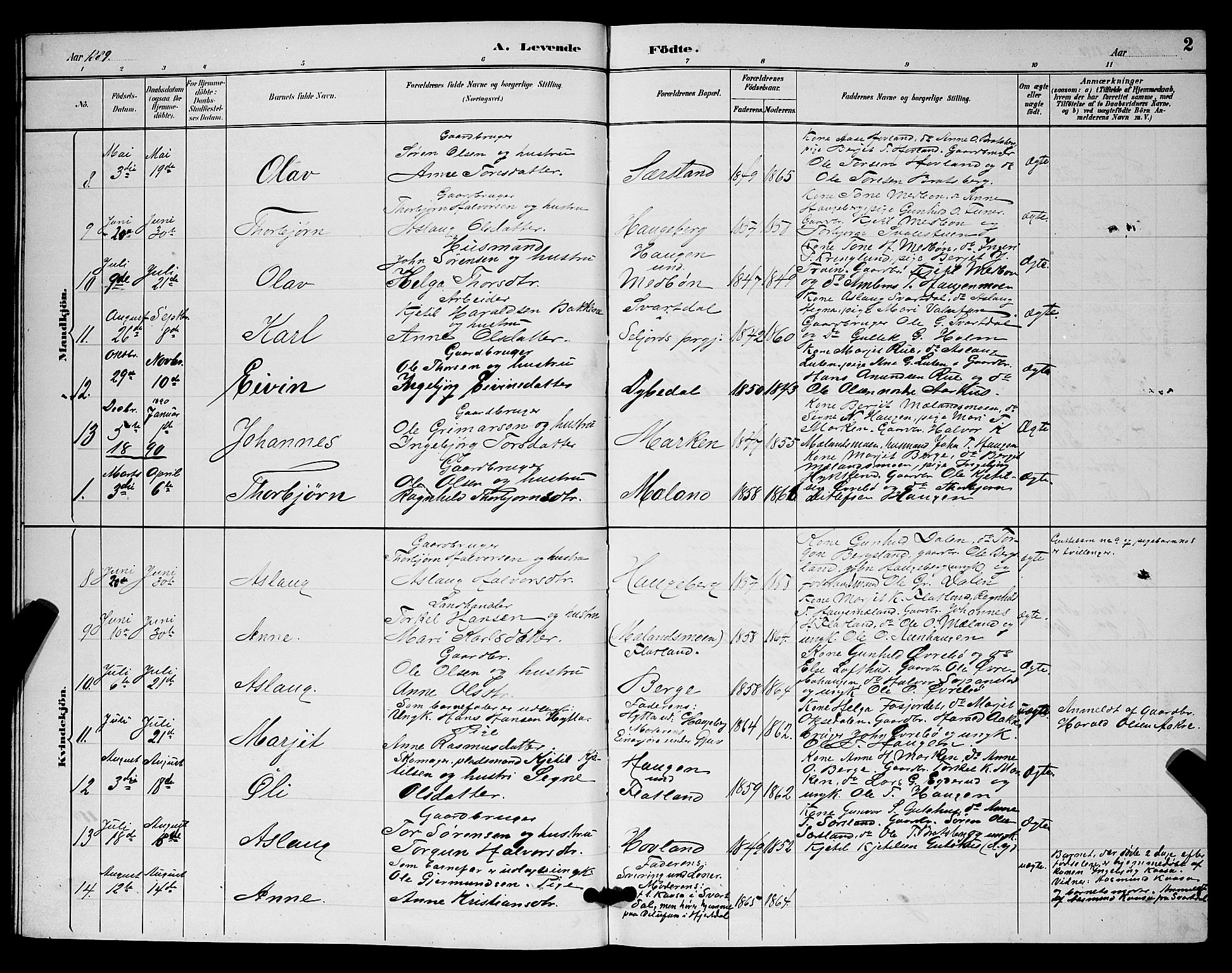 Hjartdal kirkebøker, SAKO/A-270/G/Ga/L0003: Parish register (copy) no. I 3, 1889-1896, p. 2