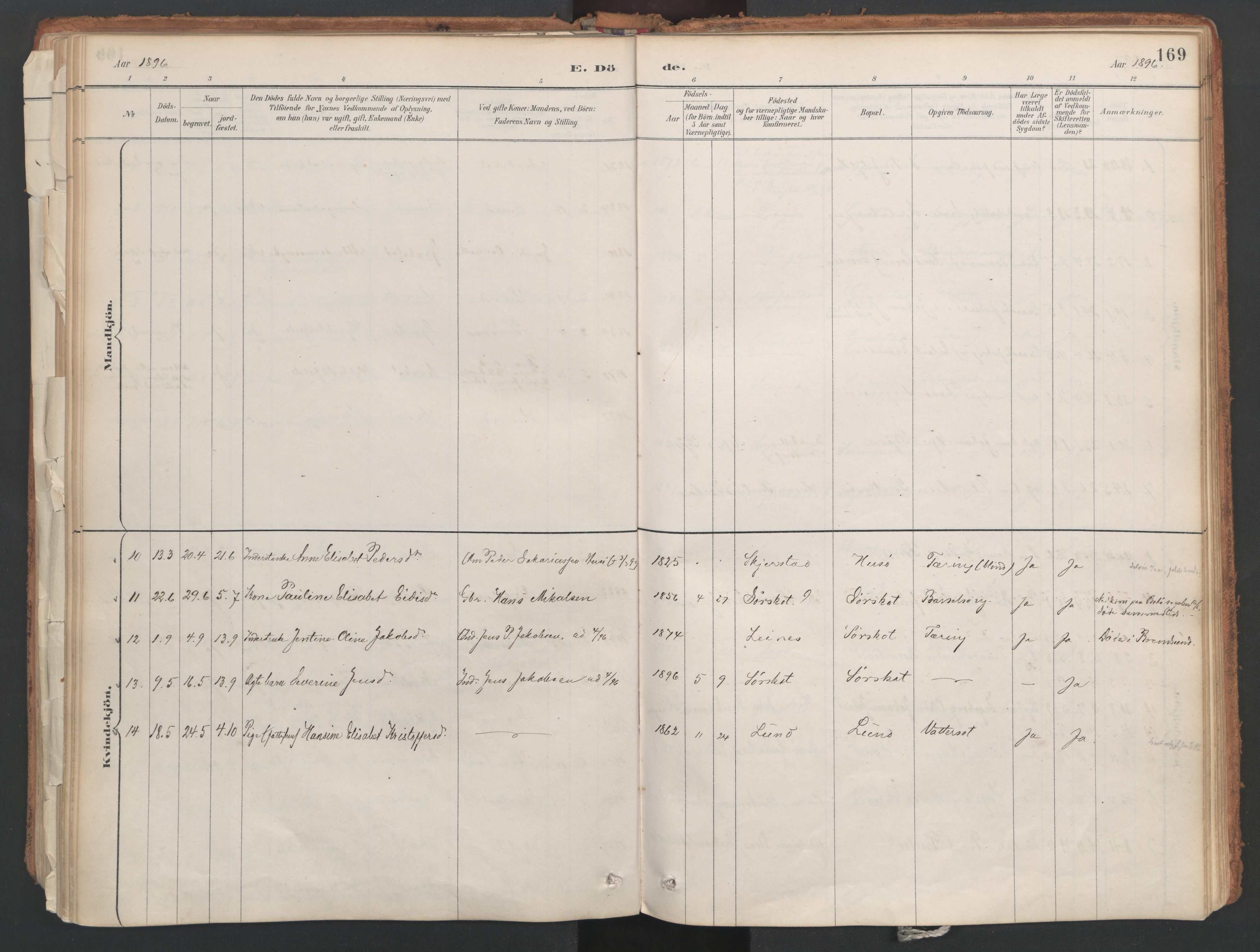 Ministerialprotokoller, klokkerbøker og fødselsregistre - Nordland, AV/SAT-A-1459/857/L0822: Parish register (official) no. 857A02, 1890-1917, p. 169