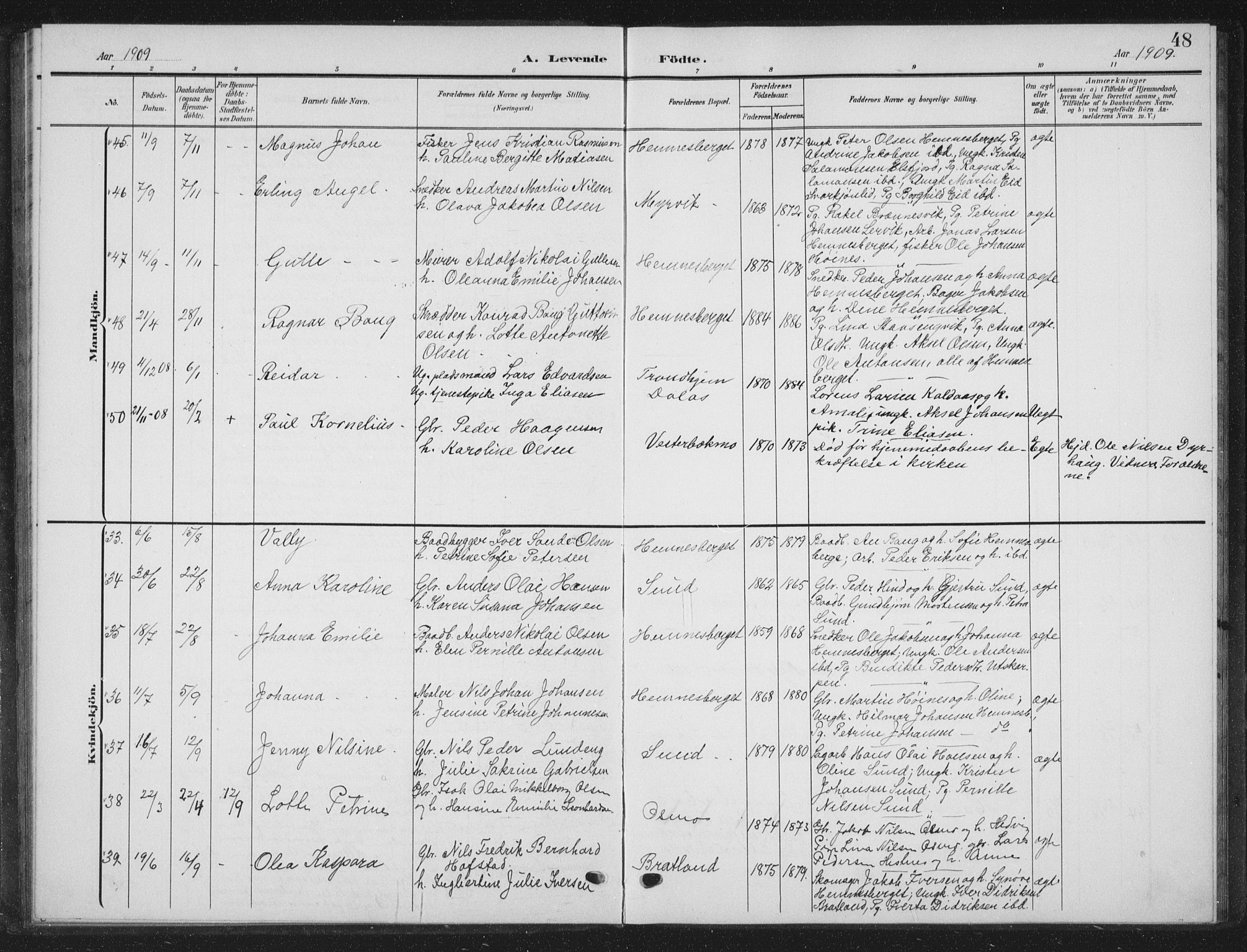 Ministerialprotokoller, klokkerbøker og fødselsregistre - Nordland, AV/SAT-A-1459/825/L0370: Parish register (copy) no. 825C07, 1903-1923, p. 48