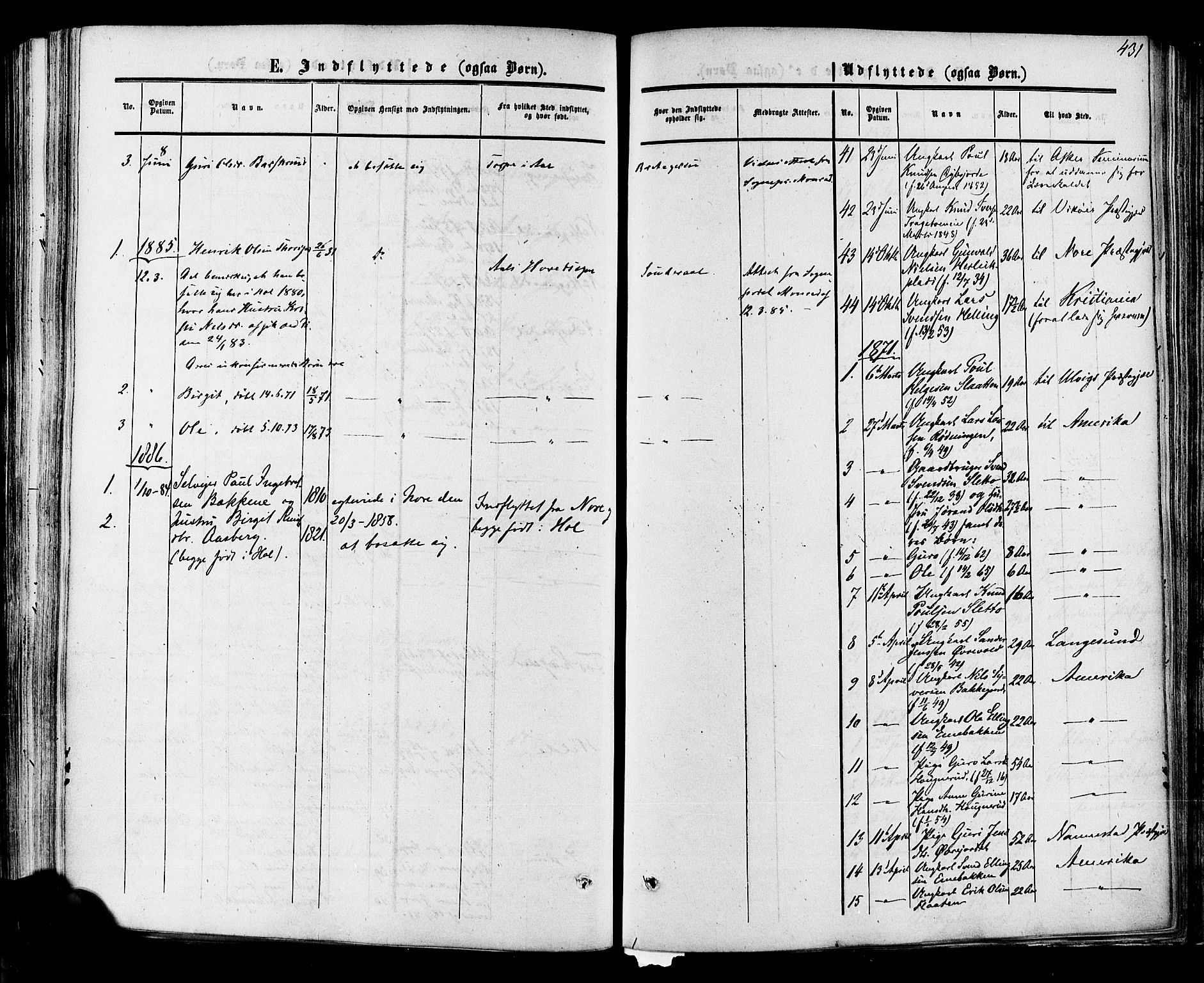 Hol kirkebøker, SAKO/A-227/F/Fa/L0002: Parish register (official) no. I 2, 1870-1886, p. 431