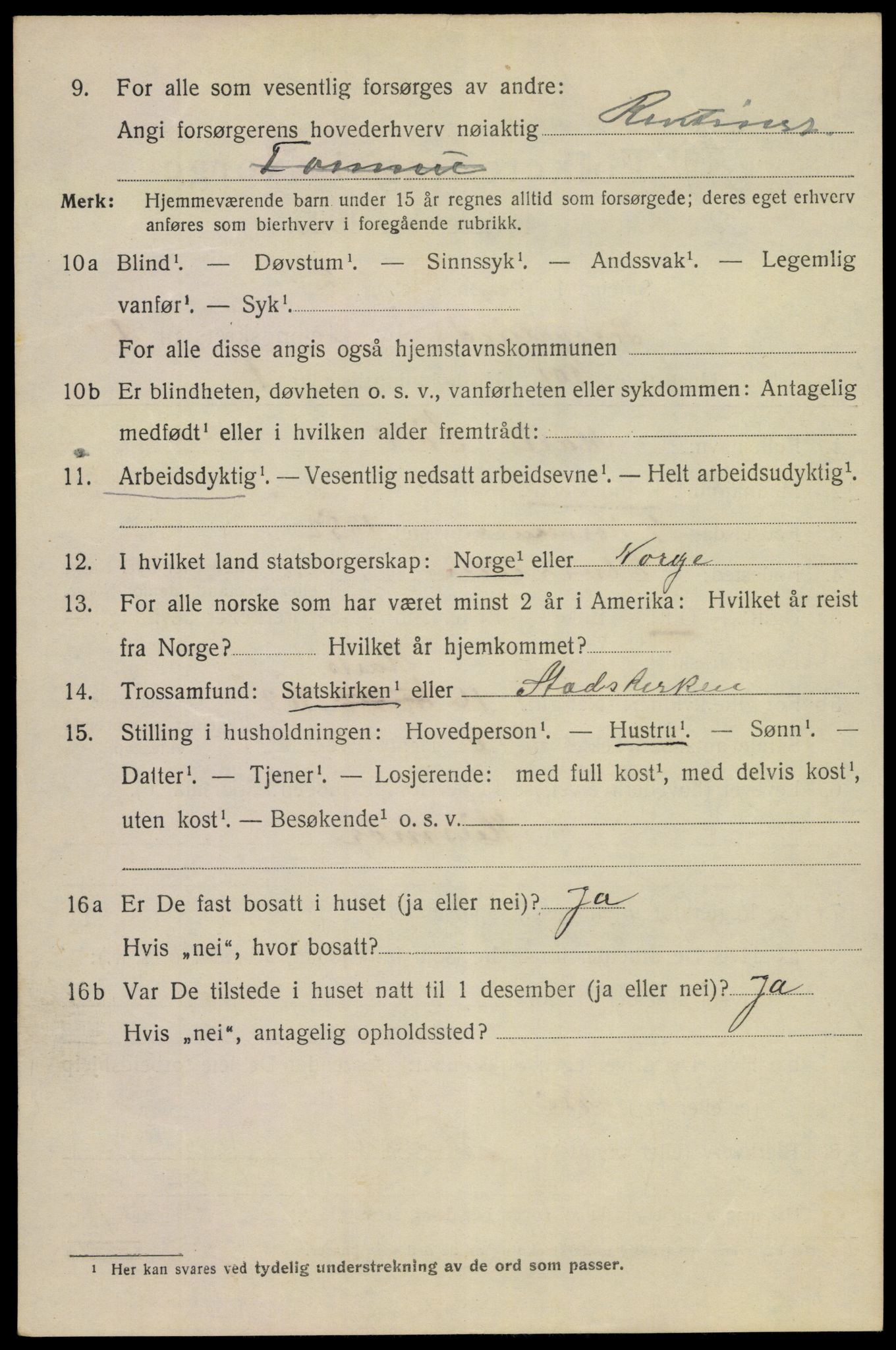 SAKO, 1920 census for Porsgrunn, 1920, p. 9408