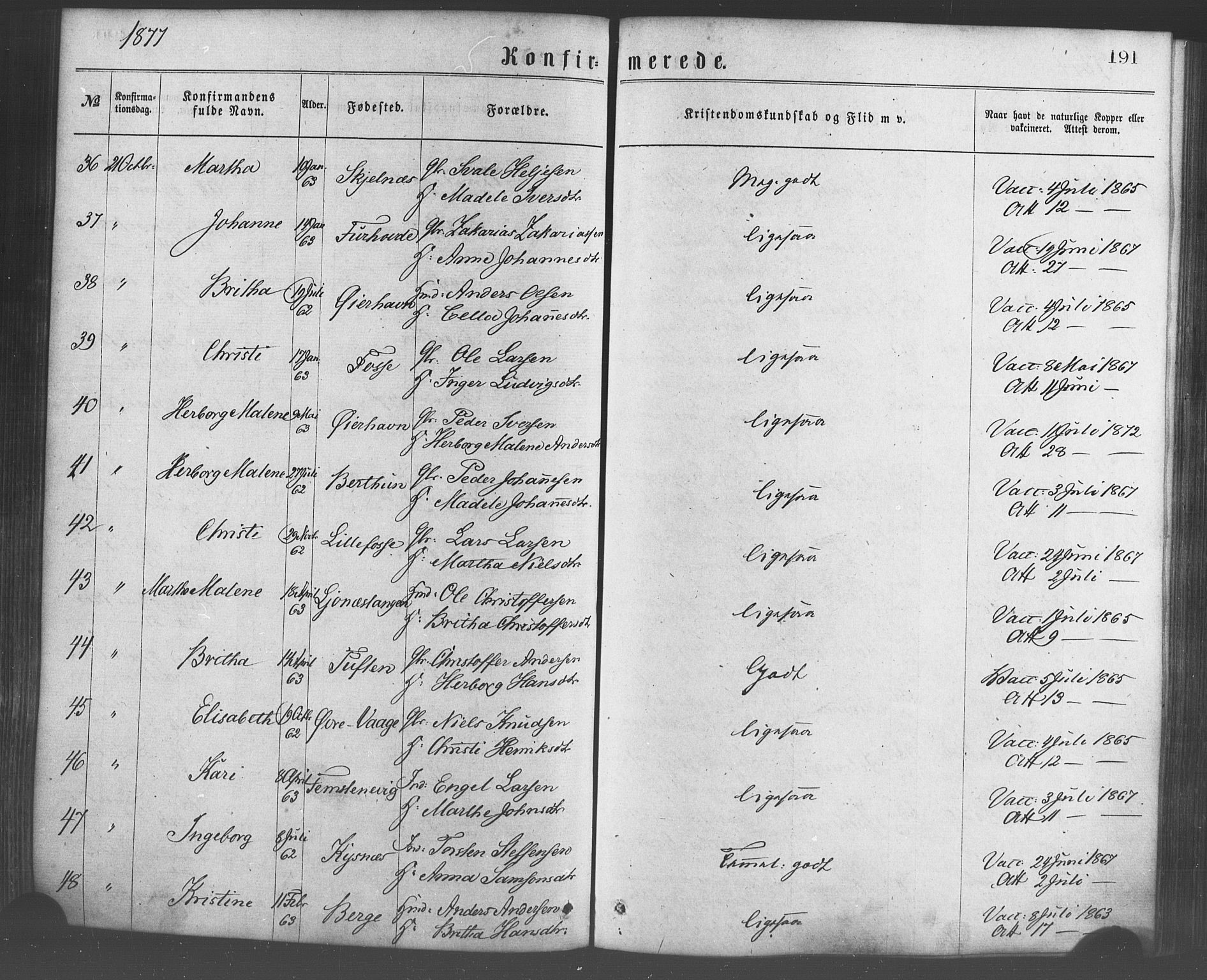 Strandebarm sokneprestembete, AV/SAB-A-78401/H/Haa: Parish register (official) no. A 9, 1872-1886, p. 191