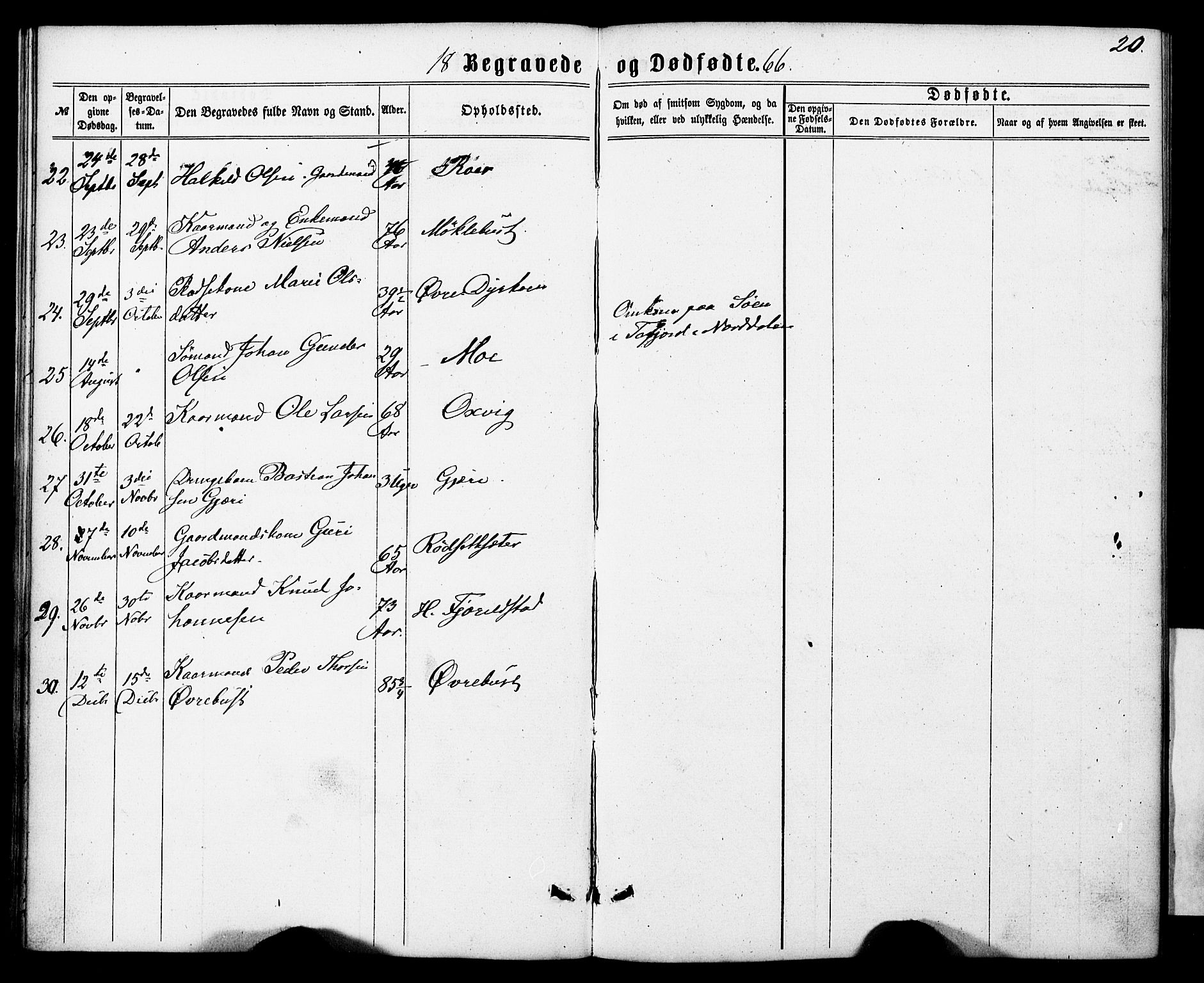 Ministerialprotokoller, klokkerbøker og fødselsregistre - Møre og Romsdal, AV/SAT-A-1454/520/L0282: Parish register (official) no. 520A11, 1862-1881, p. 20