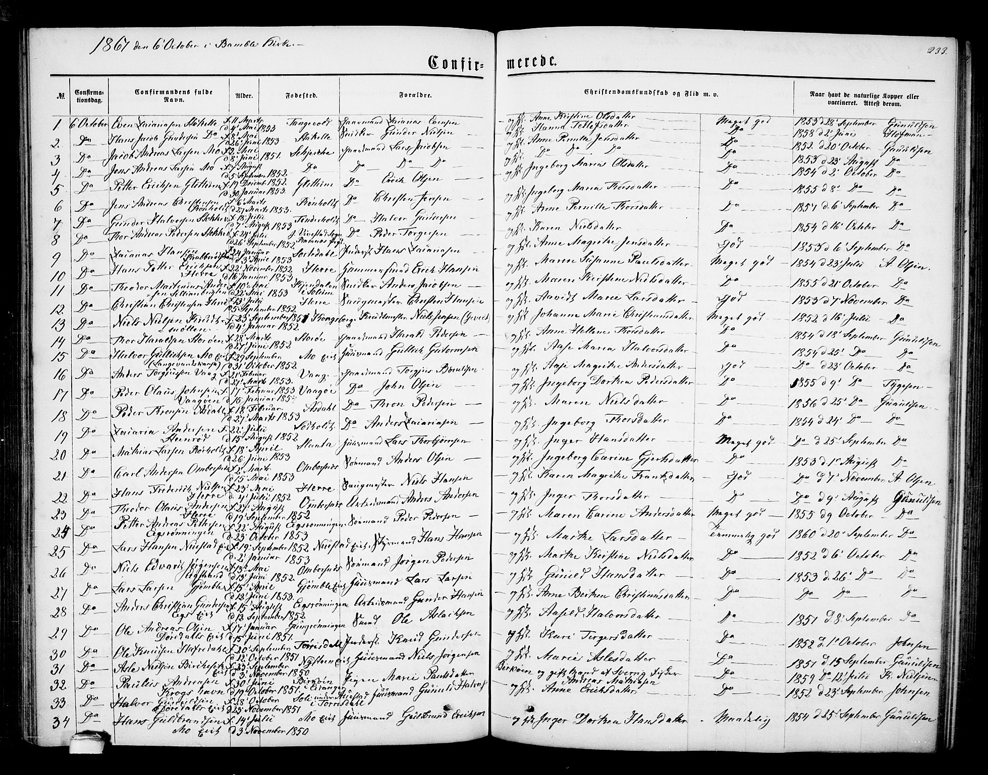 Bamble kirkebøker, AV/SAKO-A-253/G/Ga/L0006: Parish register (copy) no. I 6, 1860-1876, p. 233