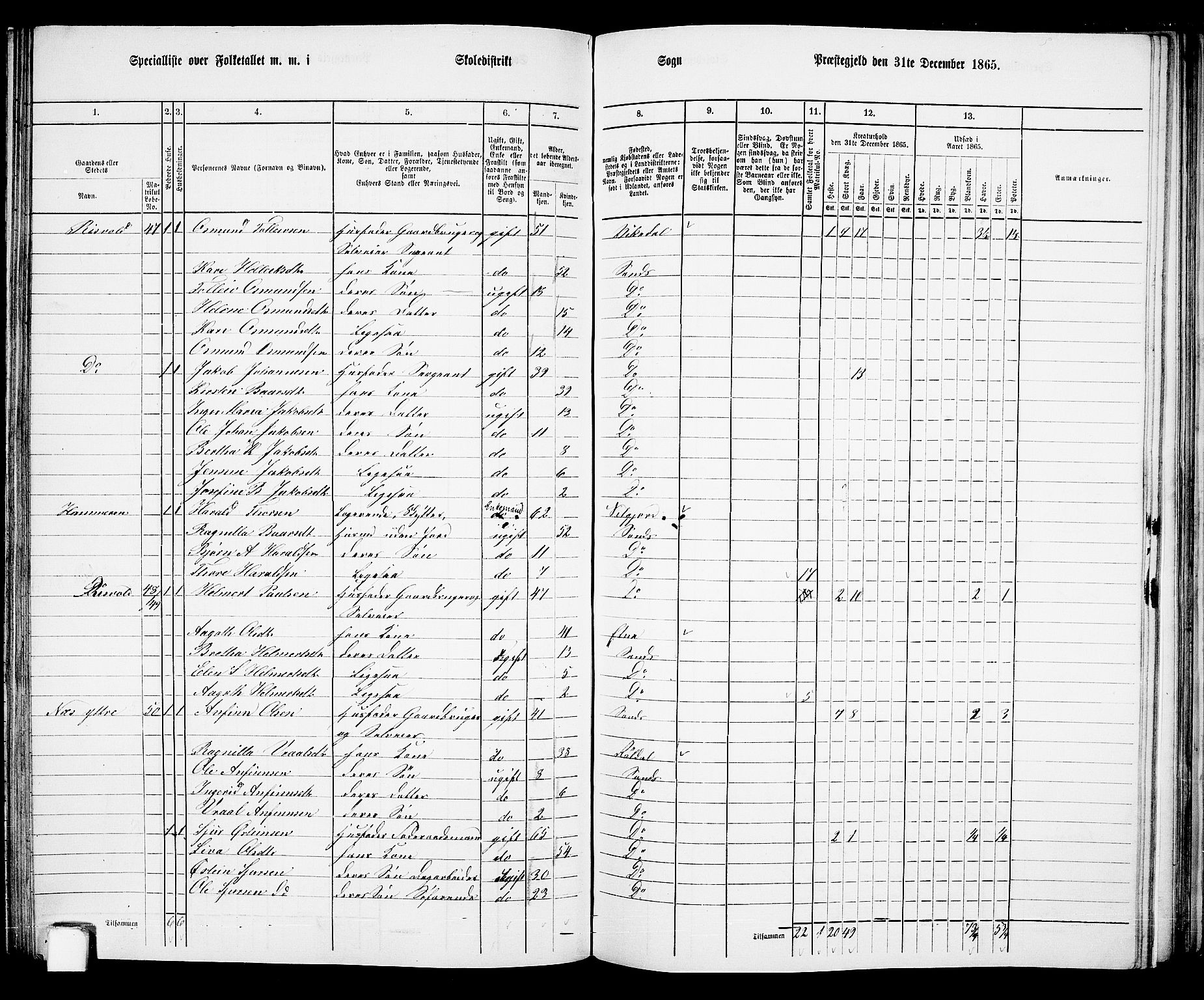 RA, 1865 census for Sand, 1865, p. 102