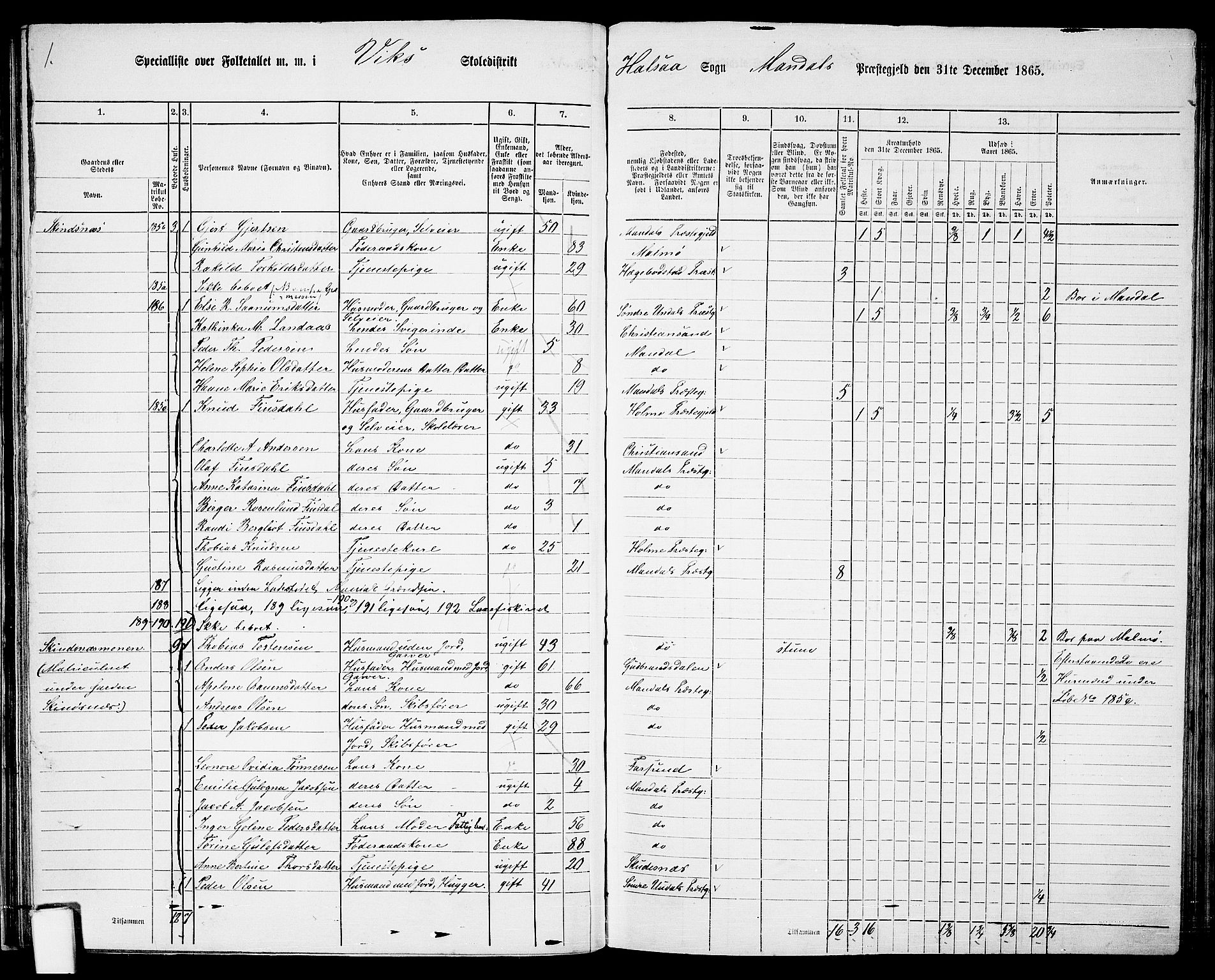 RA, 1865 census for Mandal/Halse og Harkmark, 1865, p. 45