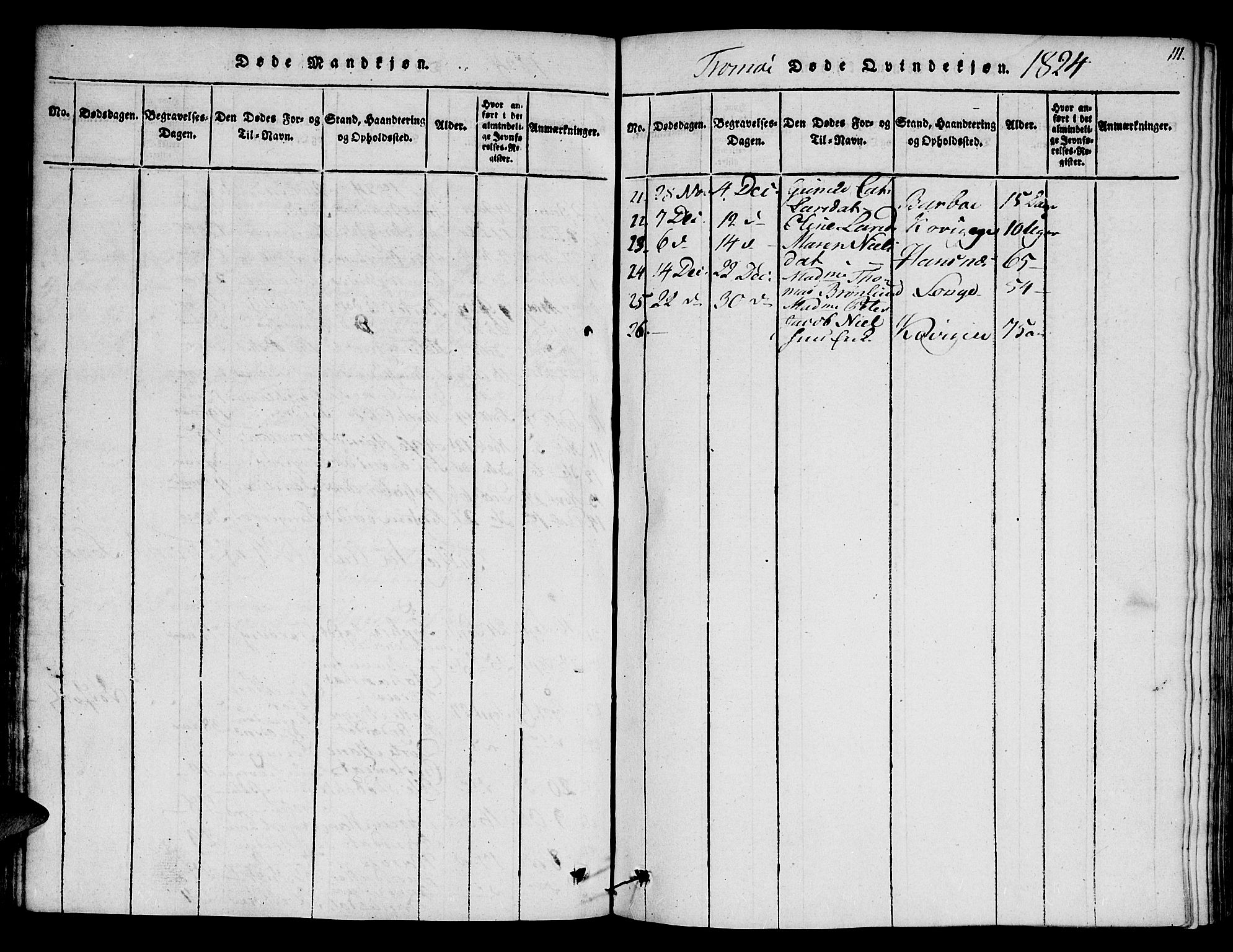 Austre Moland sokneprestkontor, AV/SAK-1111-0001/F/Fa/Faa/L0004: Parish register (official) no. A 4, 1816-1824, p. 111