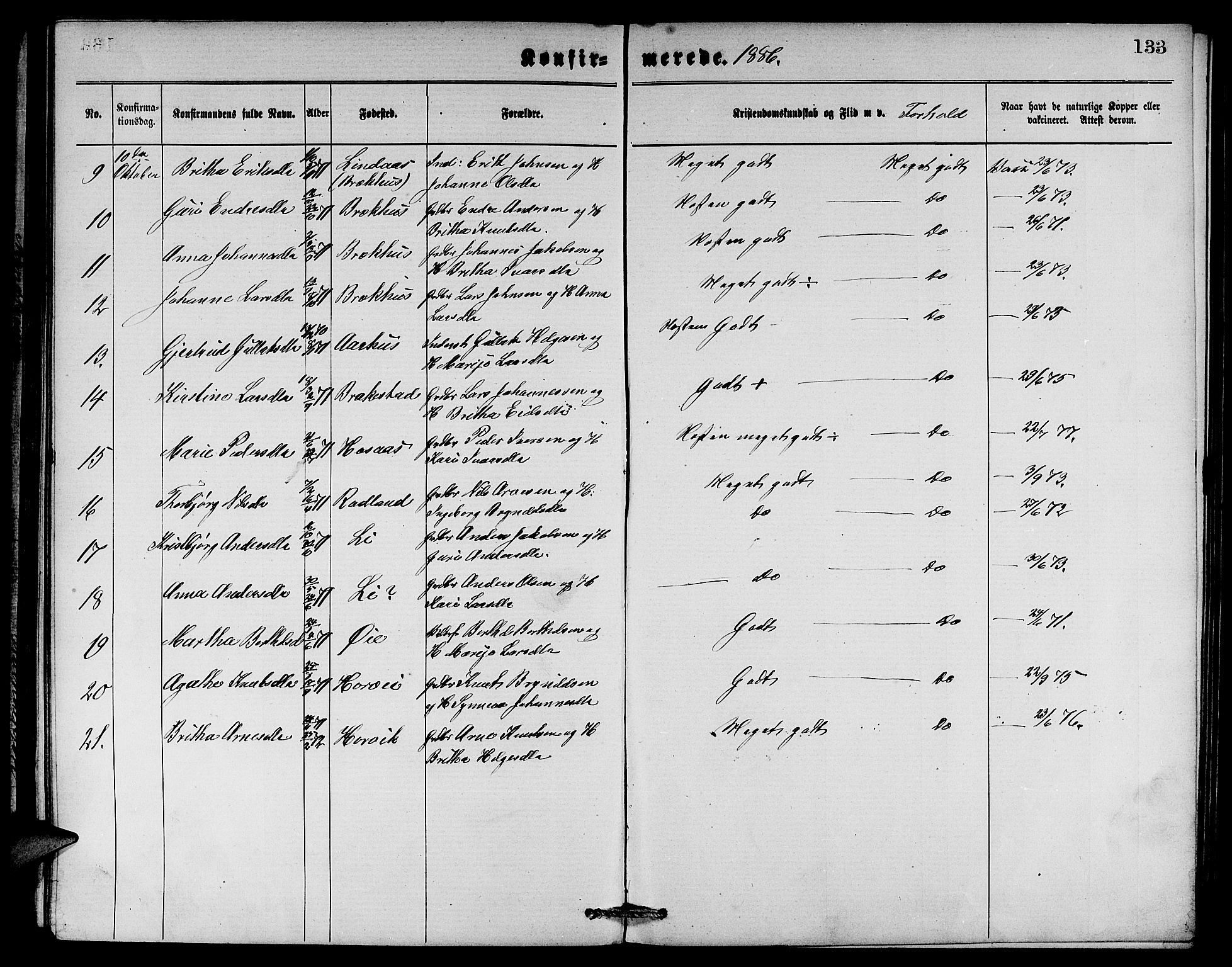 Evanger sokneprestembete, SAB/A-99924: Parish register (copy) no. A 3, 1875-1887, p. 133