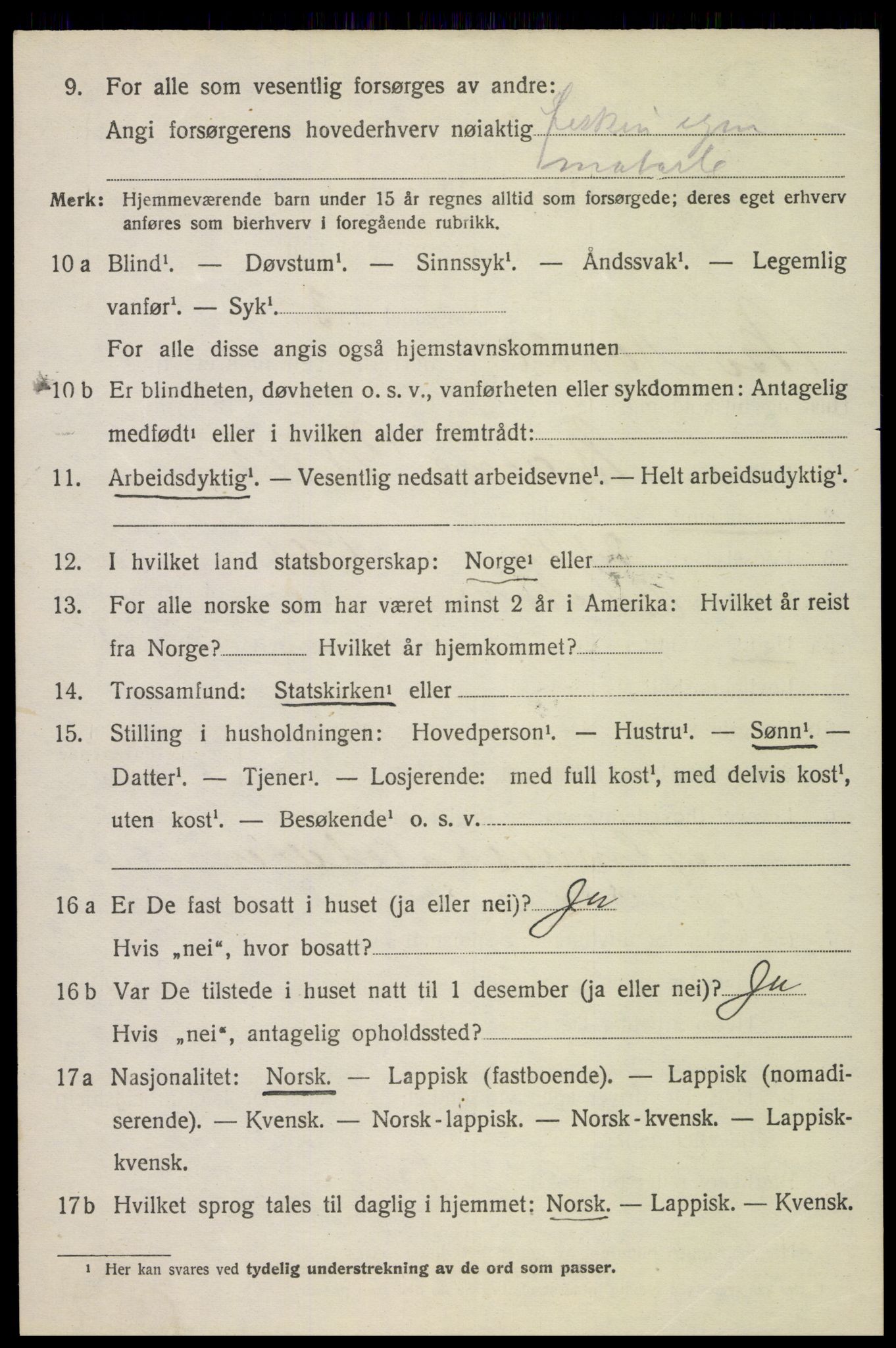 SAT, 1920 census for Bø, 1920, p. 10395