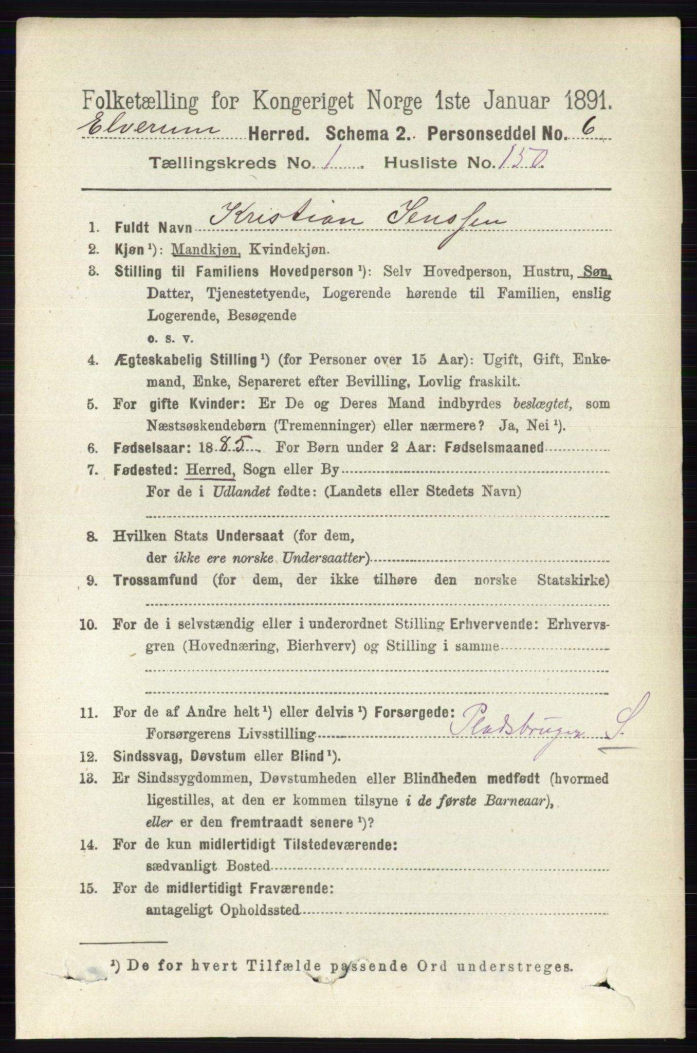 RA, 1891 census for 0427 Elverum, 1891, p. 1119