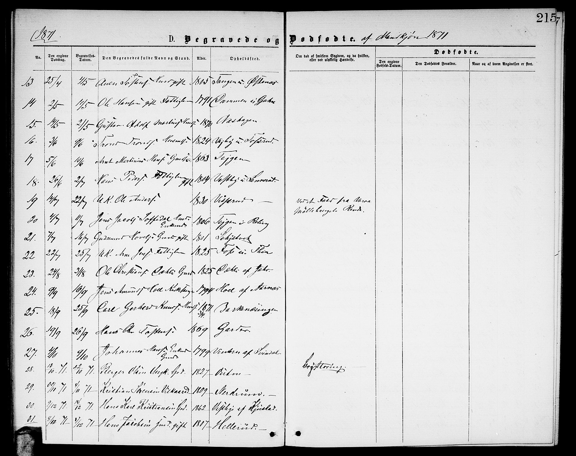 Fet prestekontor Kirkebøker, AV/SAO-A-10370a/G/Ga/L0004: Parish register (copy) no. I 4, 1868-1874, p. 215