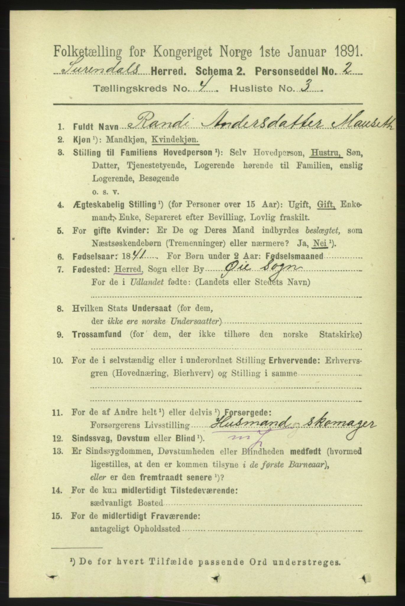 RA, 1891 census for 1566 Surnadal, 1891, p. 1075