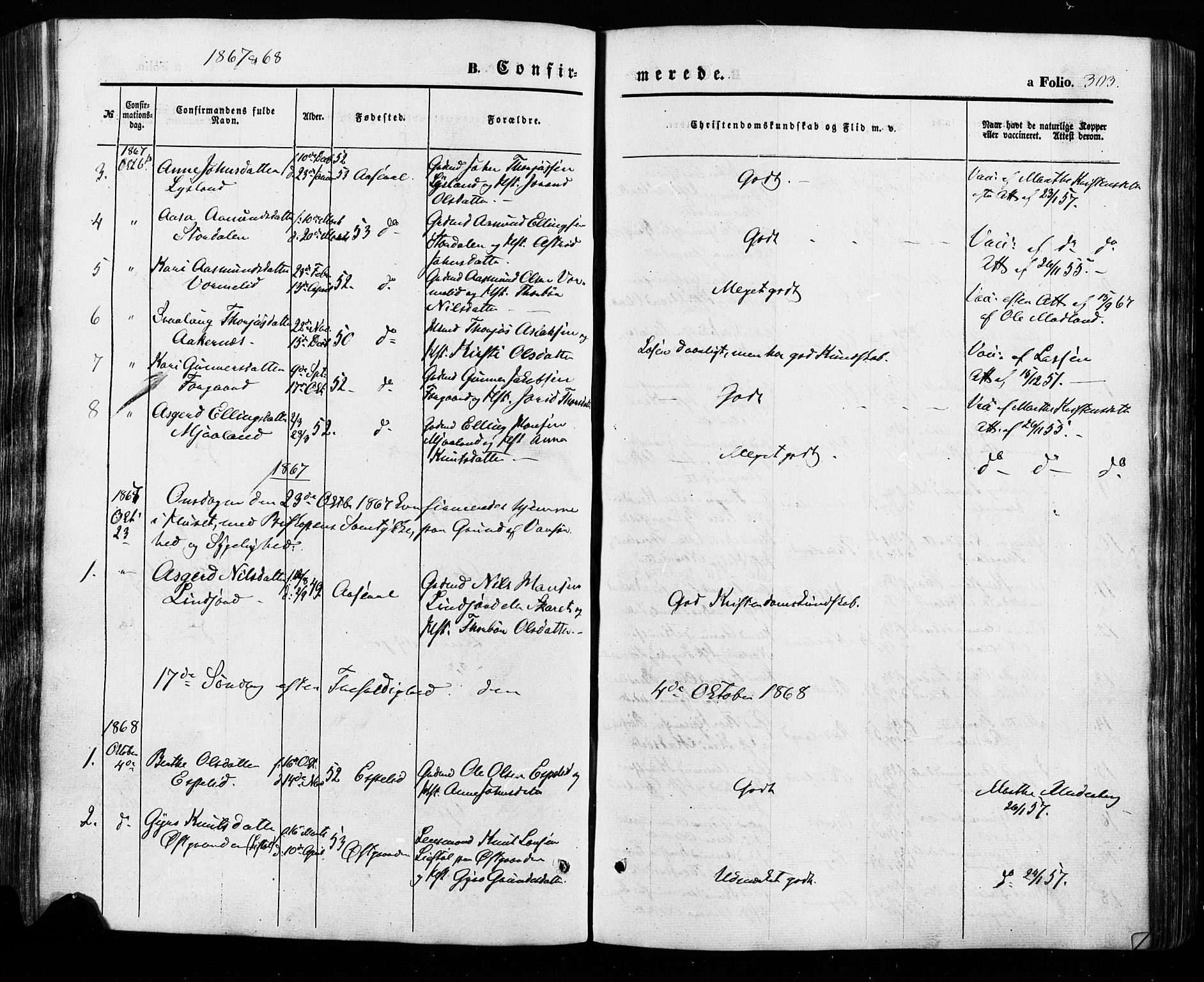 Åseral sokneprestkontor, SAK/1111-0051/F/Fa/L0002: Parish register (official) no. A 2, 1854-1884, p. 303