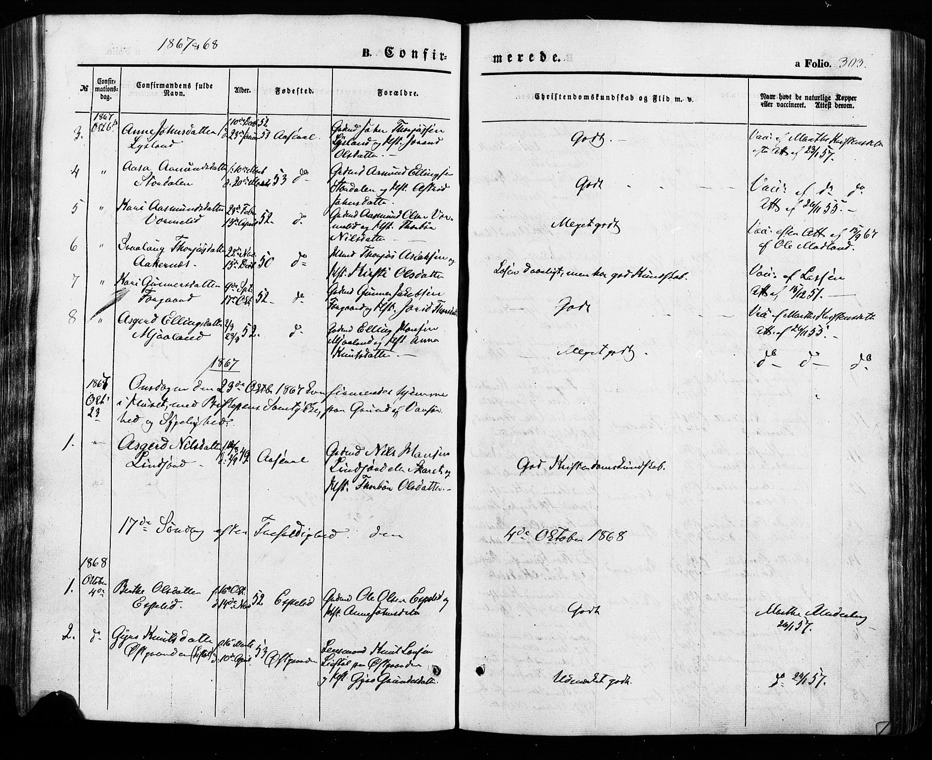 Åseral sokneprestkontor, AV/SAK-1111-0051/F/Fa/L0002: Parish register (official) no. A 2, 1854-1884, p. 303