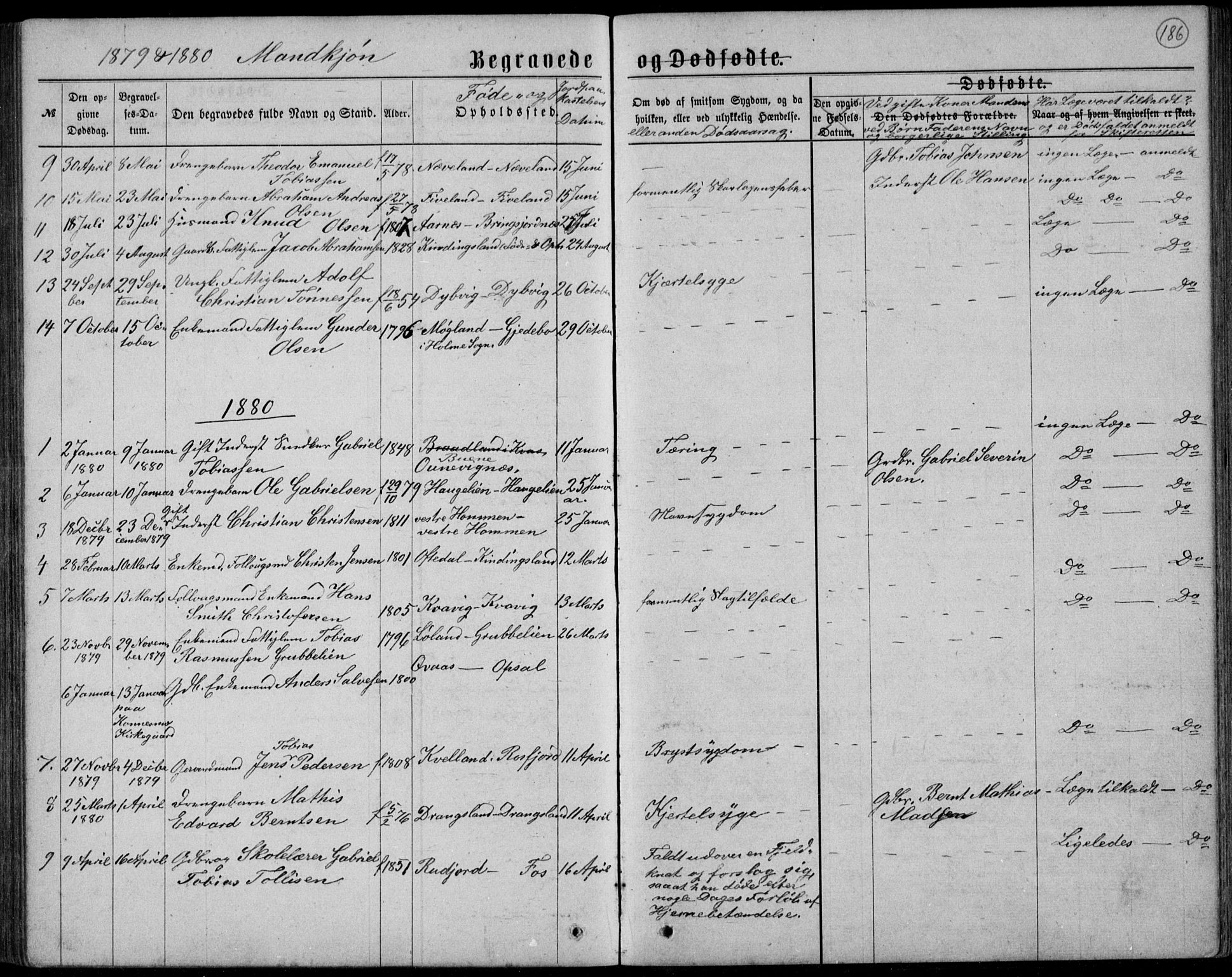 Lyngdal sokneprestkontor, AV/SAK-1111-0029/F/Fb/Fbc/L0004: Parish register (copy) no. B 4, 1878-1896, p. 186