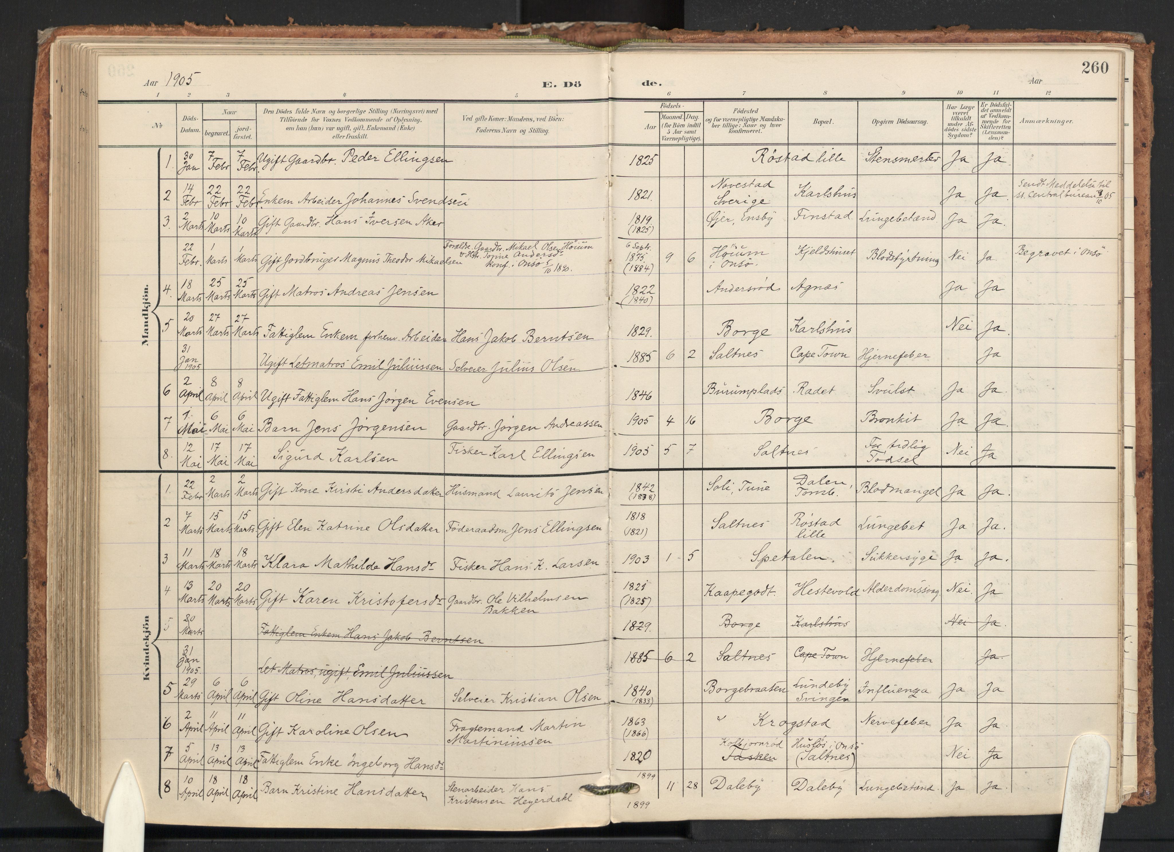 Råde prestekontor kirkebøker, AV/SAO-A-2009/F/Fa/L0008: Parish register (official) no. 8, 1903-1924, p. 260