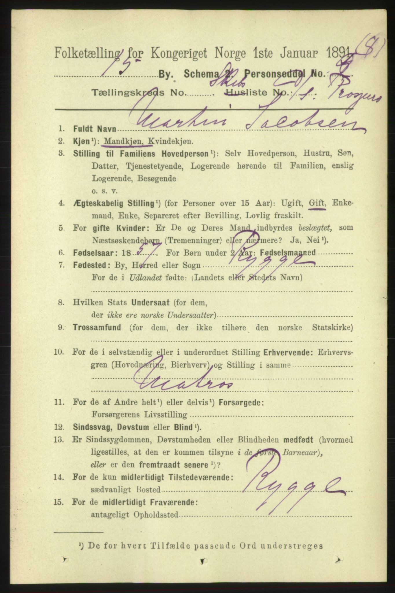 RA, 1891 census for 0602 Drammen, 1891, p. 25614