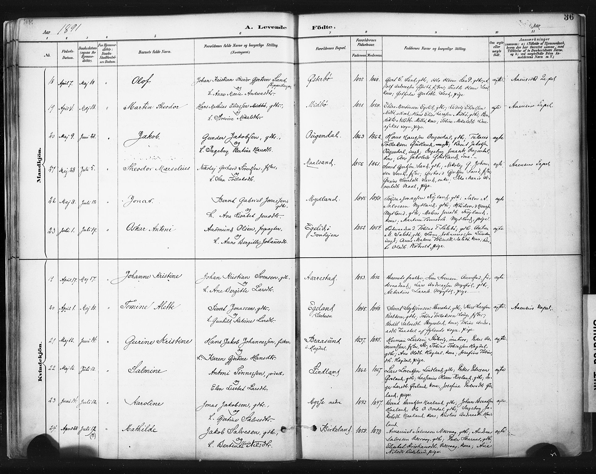 Sokndal sokneprestkontor, AV/SAST-A-101808: Parish register (official) no. A 11.1, 1887-1905, p. 36