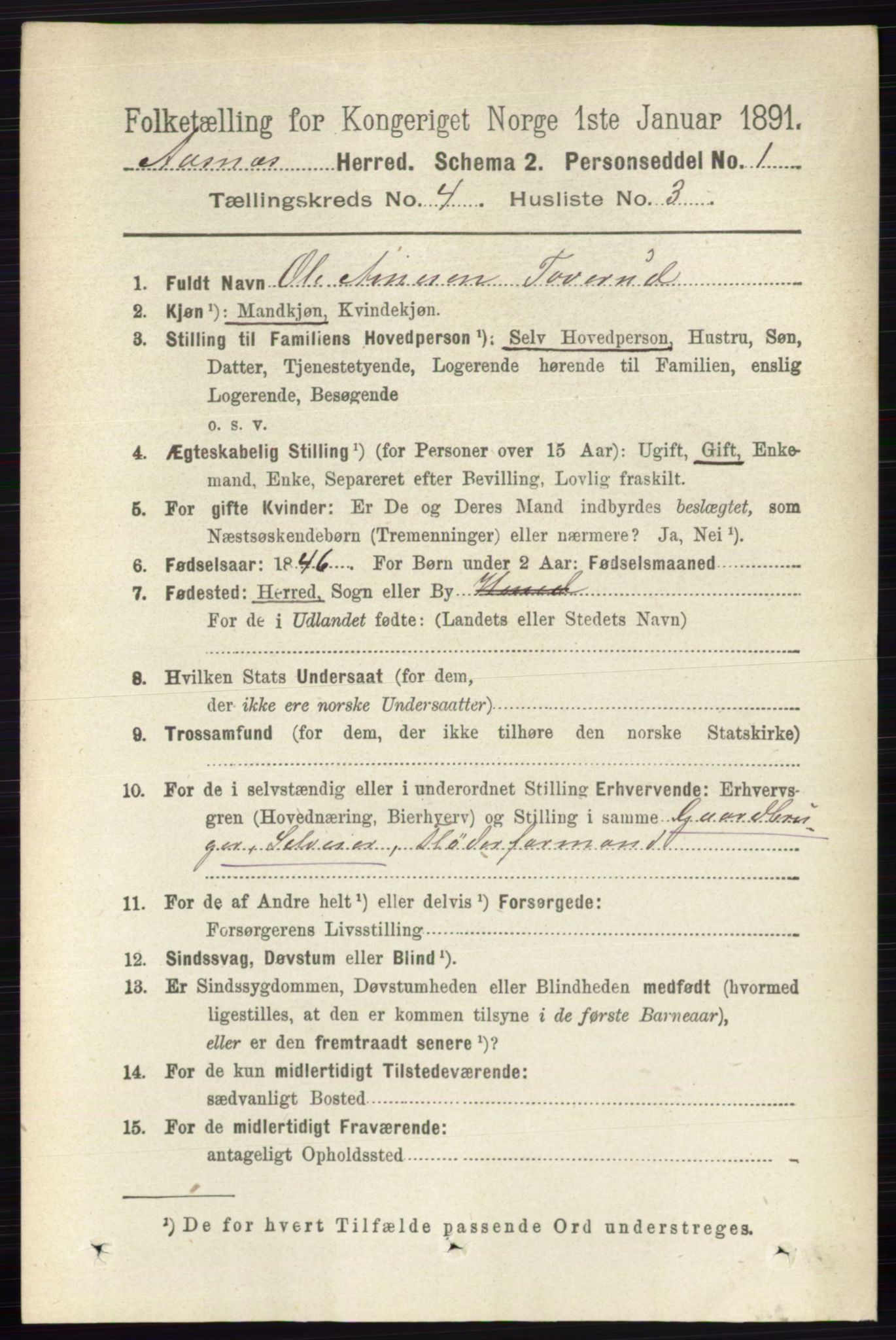 RA, 1891 census for 0425 Åsnes, 1891, p. 1678