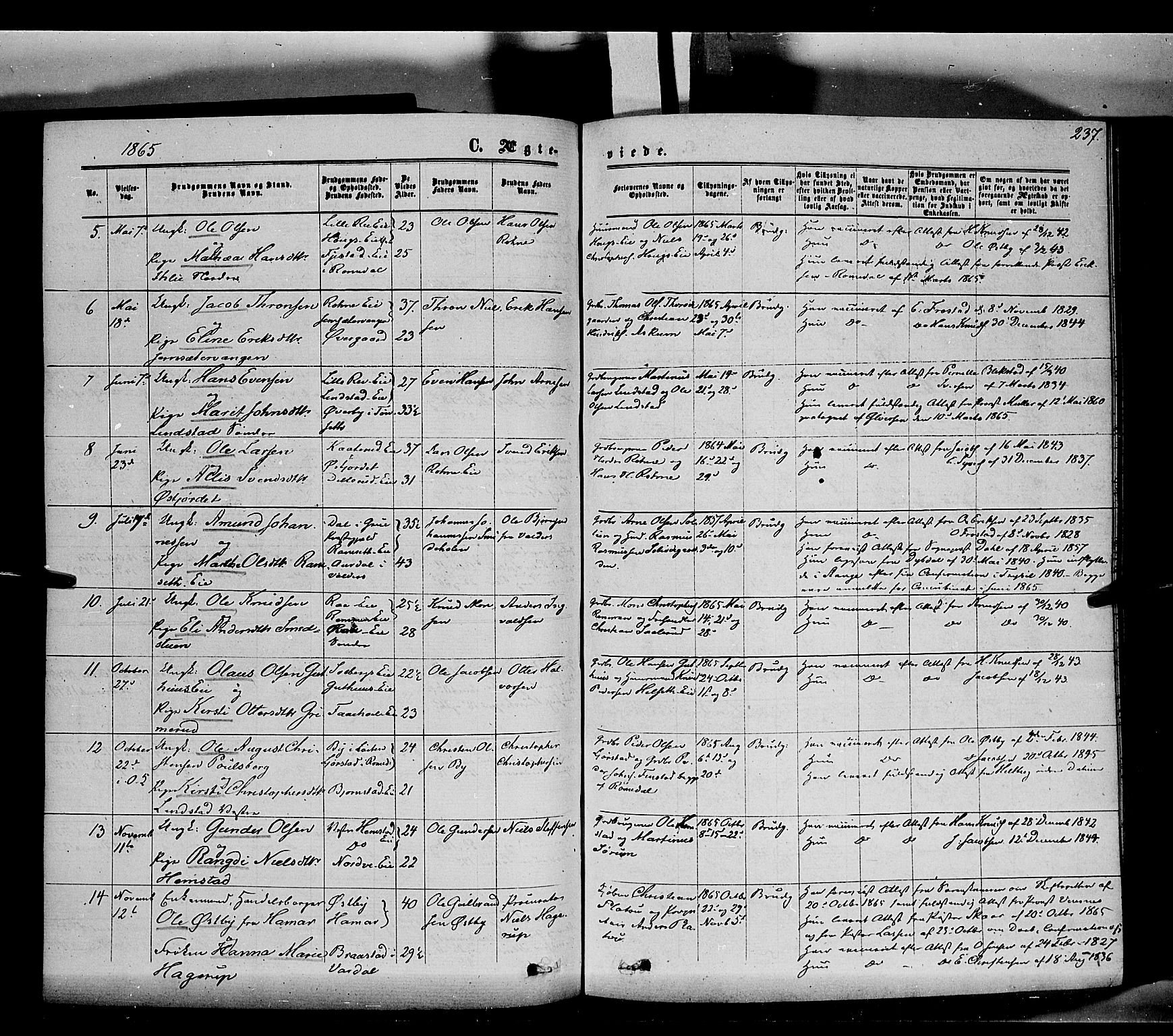 Stange prestekontor, SAH/PREST-002/K/L0013: Parish register (official) no. 13, 1862-1879, p. 237
