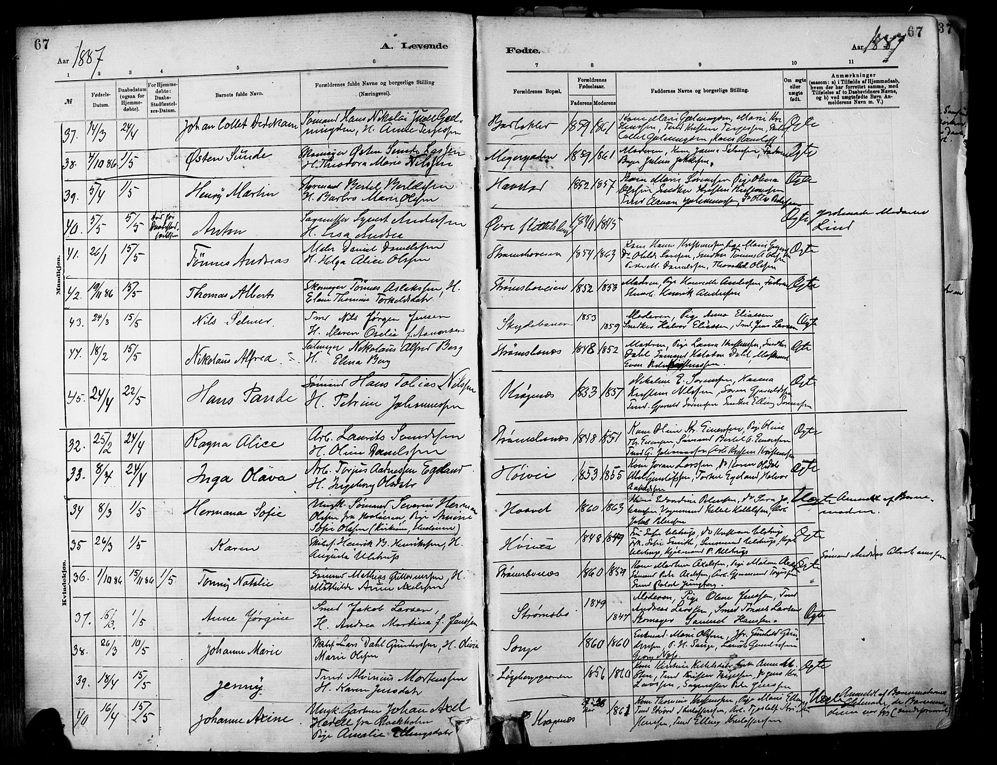 Barbu sokneprestkontor, SAK/1111-0003/F/Fa/L0002: Parish register (official) no. A 2, 1883-1898, p. 67