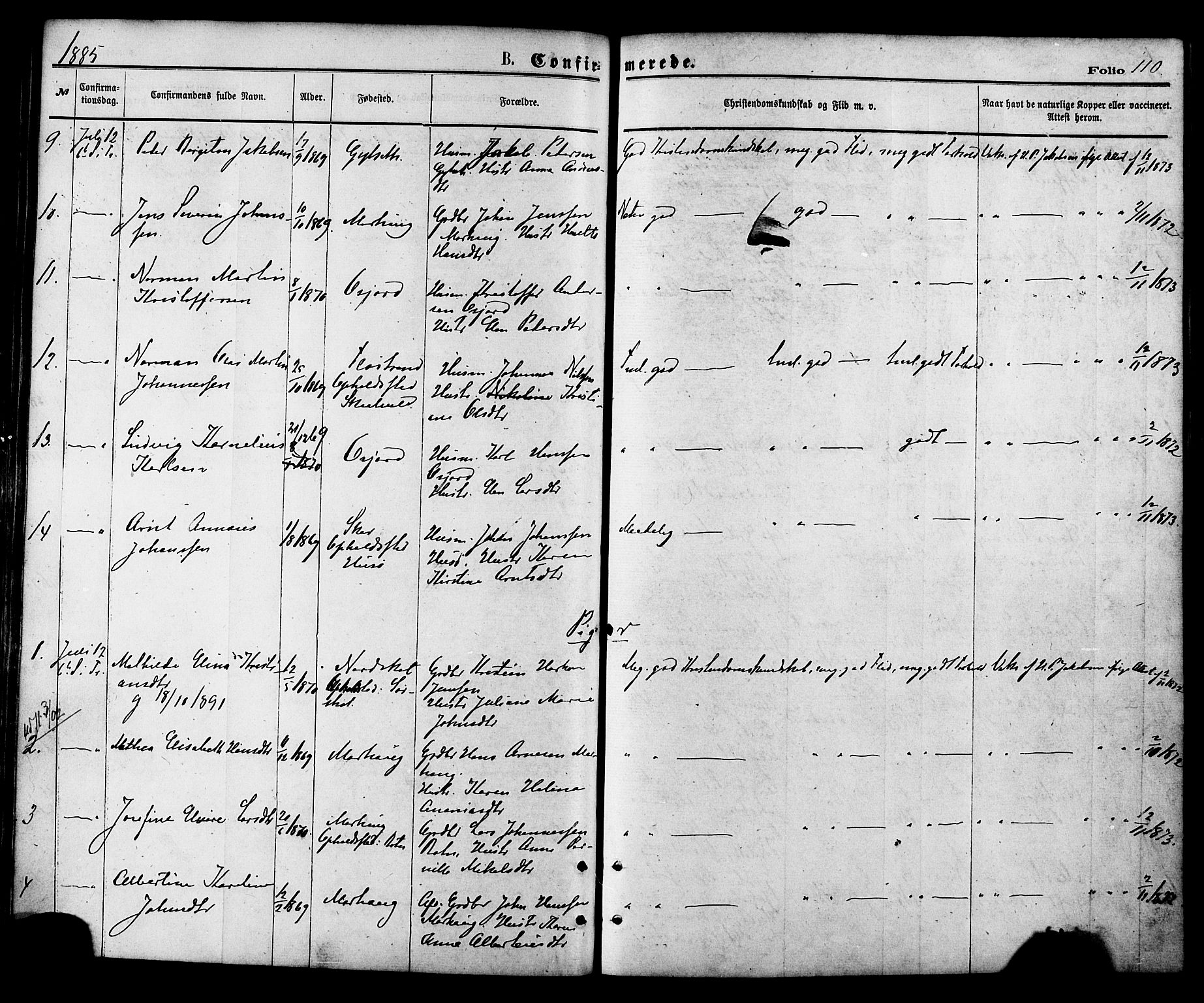 Ministerialprotokoller, klokkerbøker og fødselsregistre - Nordland, AV/SAT-A-1459/857/L0821: Parish register (official) no. 857A01, 1875-1889, p. 110