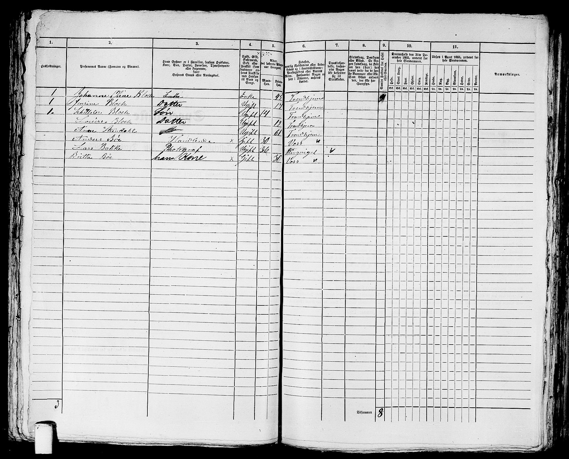 RA, 1865 census for Trondheim, 1865, p. 1812