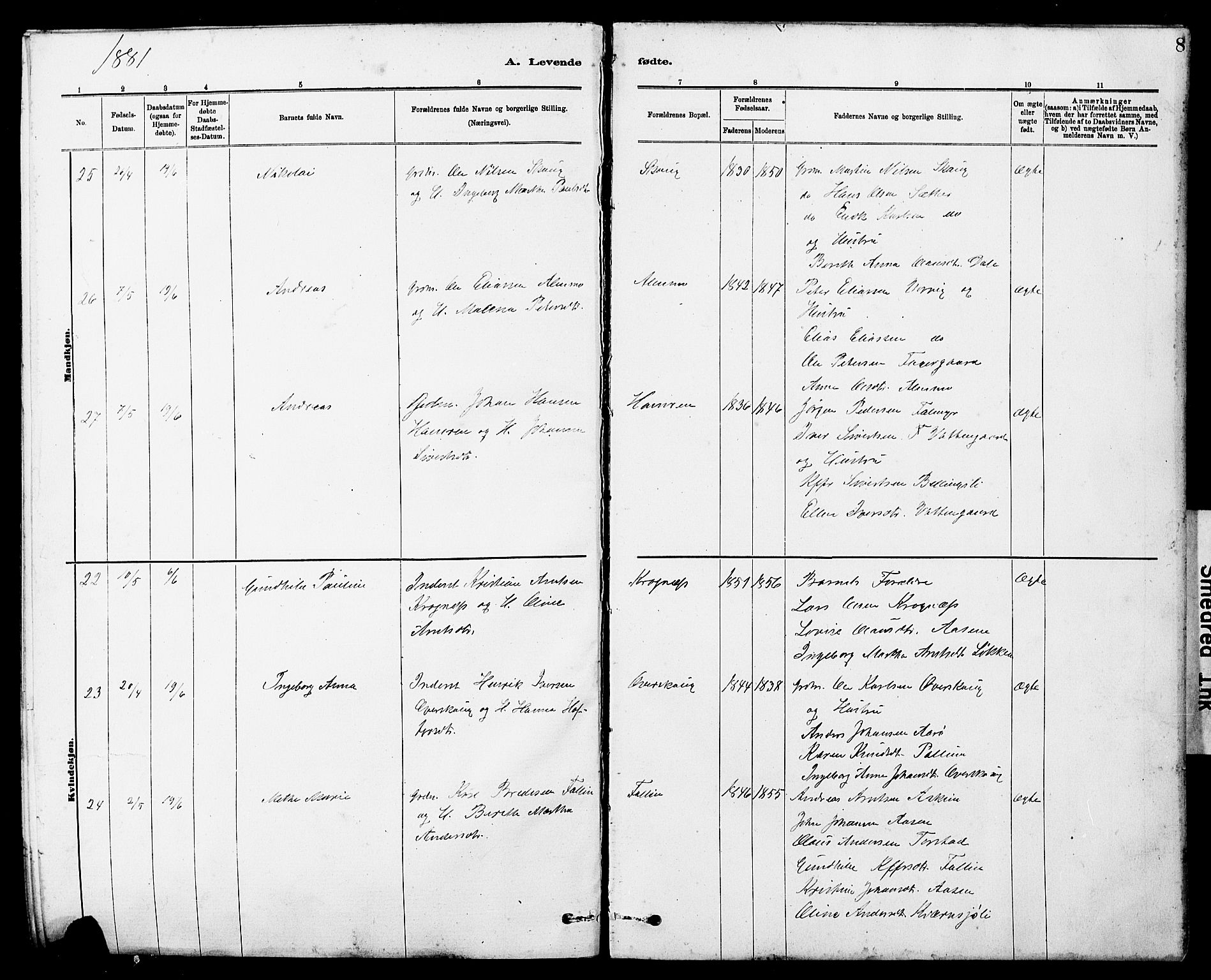 Ministerialprotokoller, klokkerbøker og fødselsregistre - Sør-Trøndelag, AV/SAT-A-1456/647/L0636: Parish register (copy) no. 647C01, 1881-1884, p. 8