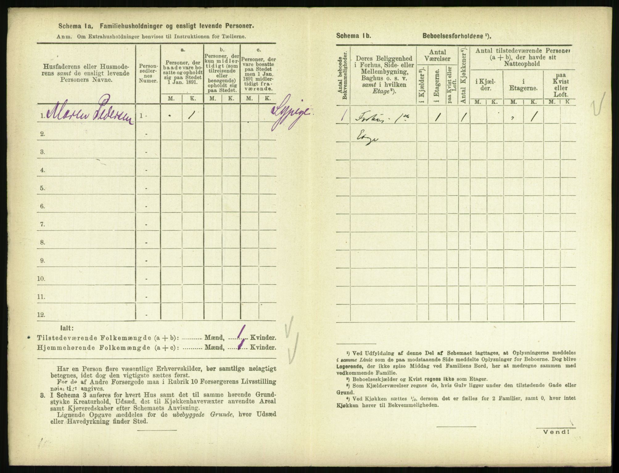 RA, 1891 census for 0804 Brevik, 1891, p. 680