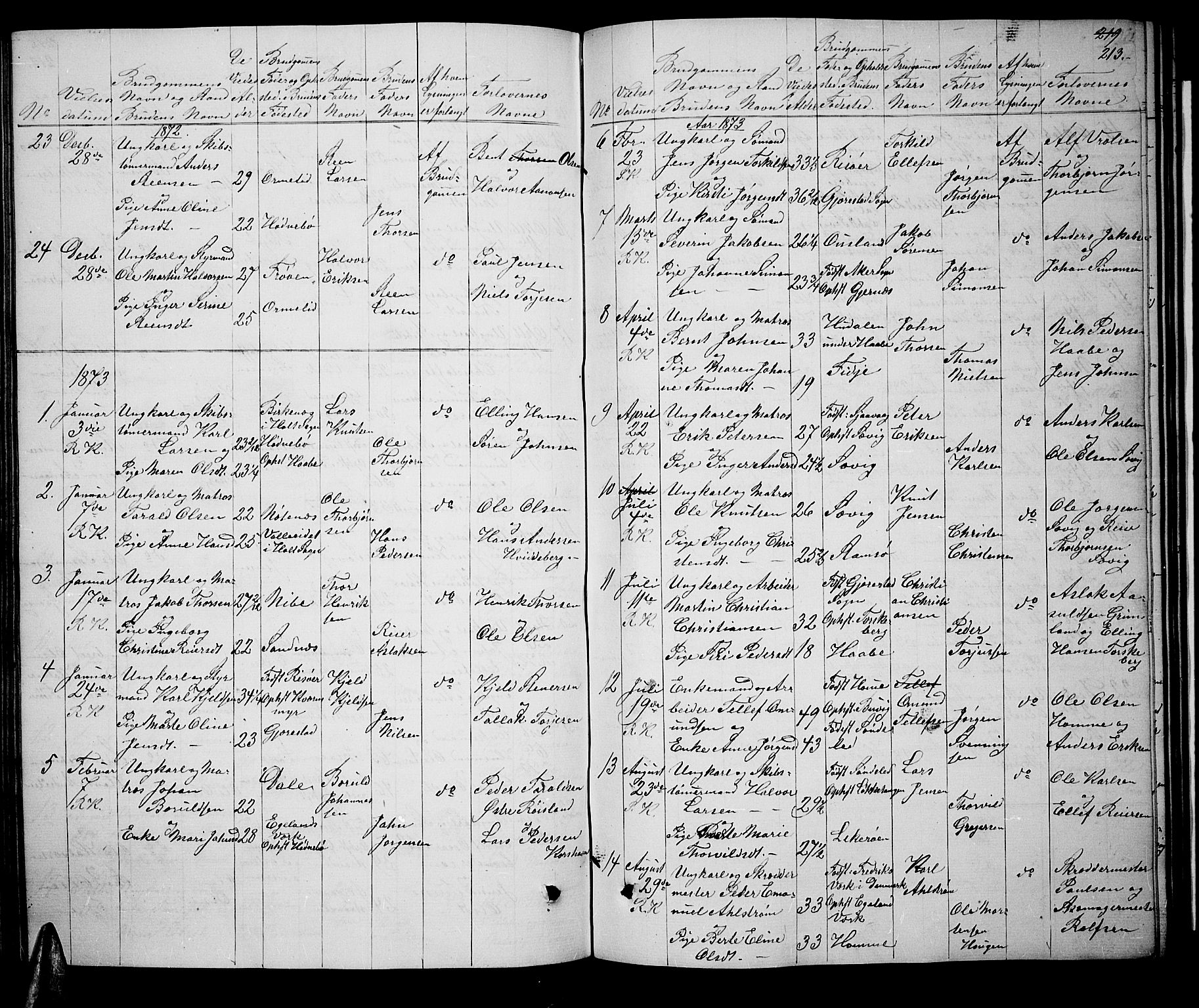 Søndeled sokneprestkontor, AV/SAK-1111-0038/F/Fb/L0004: Parish register (copy) no. B 4, 1857-1884, p. 213