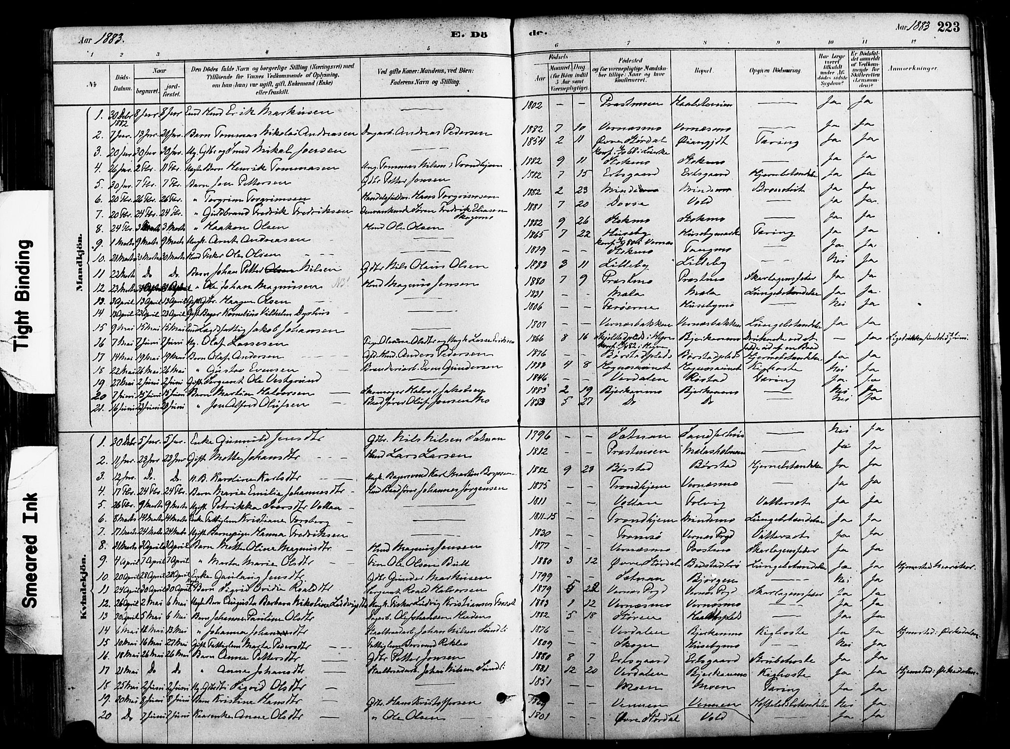 Ministerialprotokoller, klokkerbøker og fødselsregistre - Nord-Trøndelag, SAT/A-1458/709/L0077: Parish register (official) no. 709A17, 1880-1895, p. 223