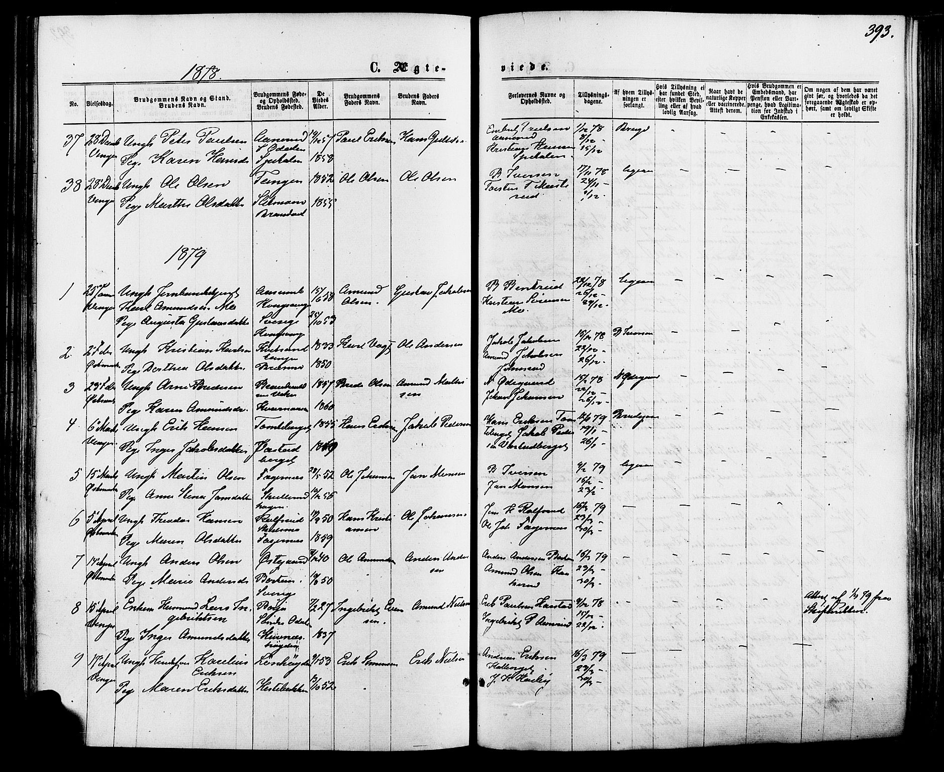 Vinger prestekontor, SAH/PREST-024/H/Ha/Haa/L0012: Parish register (official) no. 12, 1871-1880, p. 393