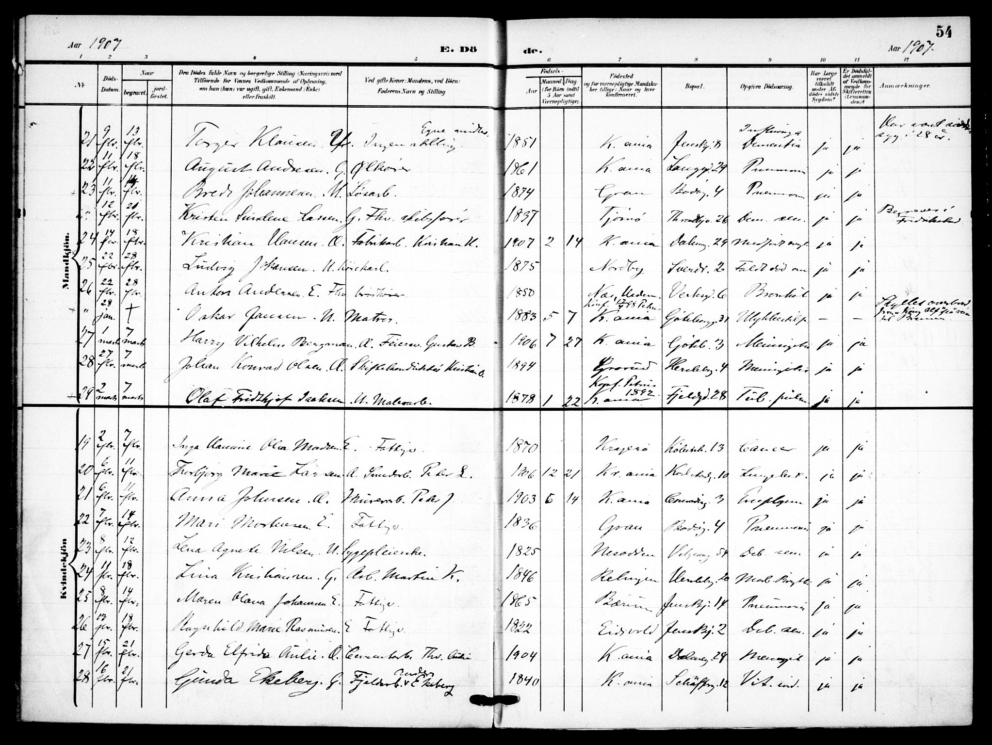 Petrus prestekontor Kirkebøker, AV/SAO-A-10872/F/Fa/L0010: Parish register (official) no. 10, 1904-1916, p. 54