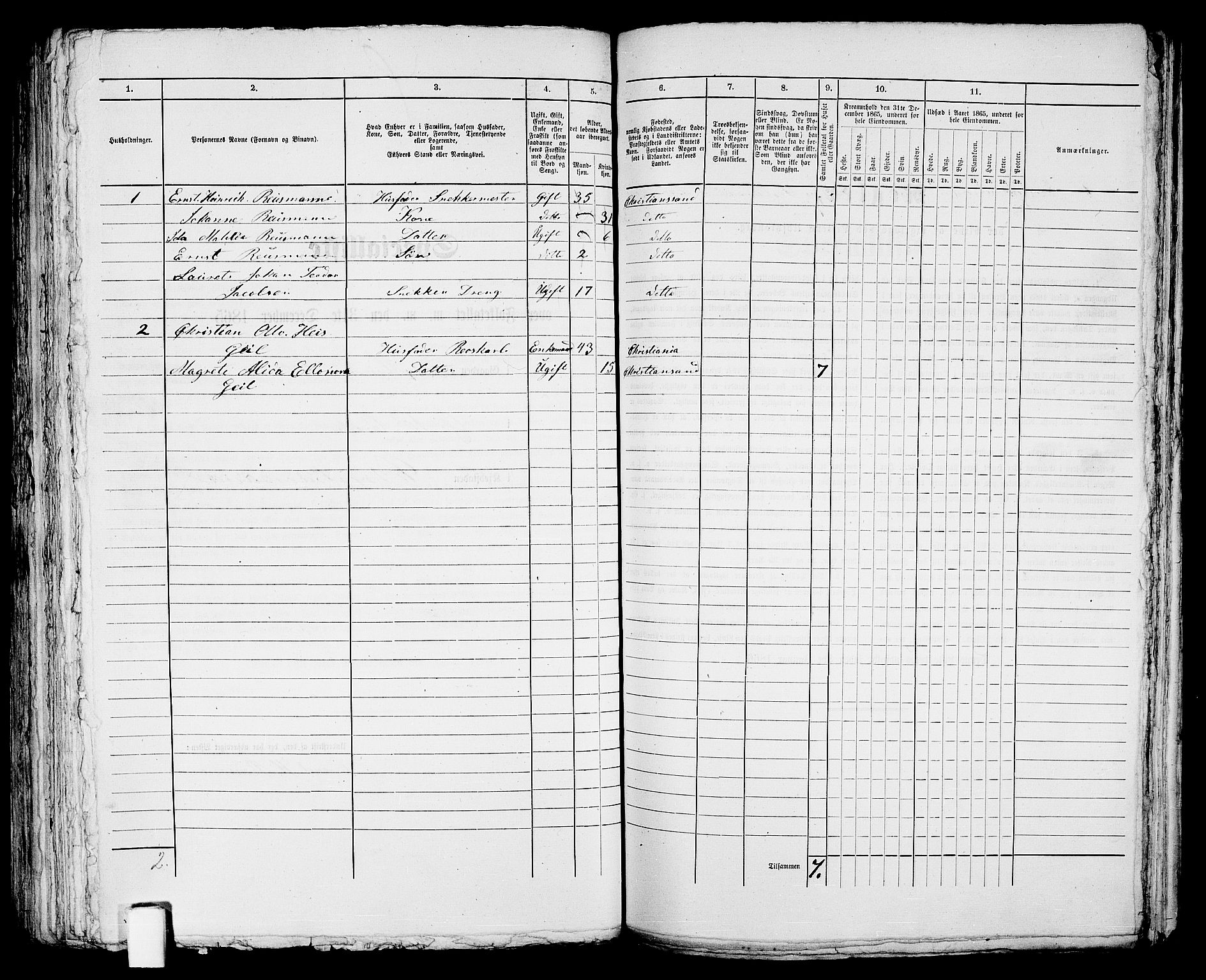 RA, 1865 census for Kristiansand, 1865, p. 293