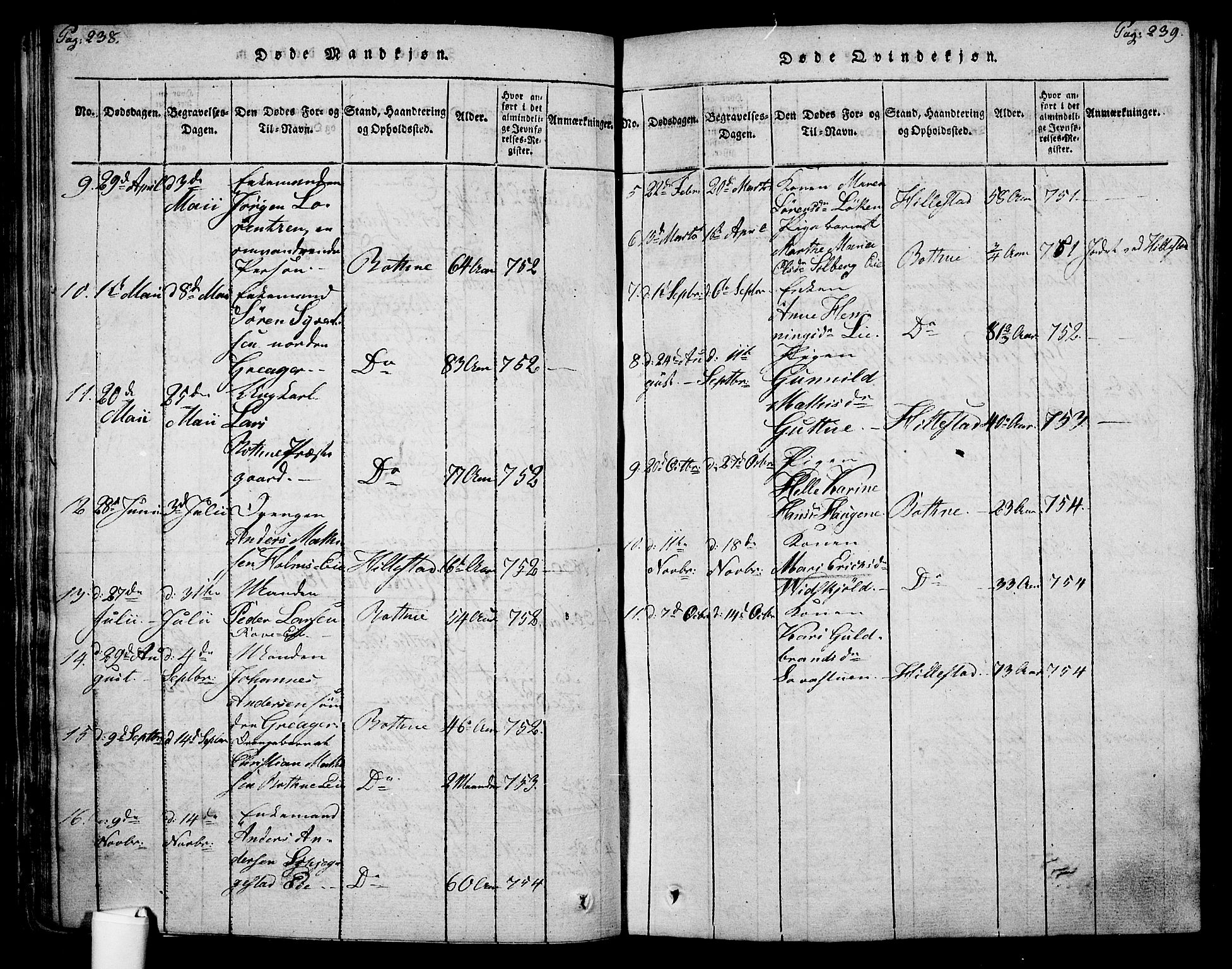 Botne kirkebøker, AV/SAKO-A-340/F/Fa/L0005: Parish register (official) no. I 5, 1814-1836, p. 238-239