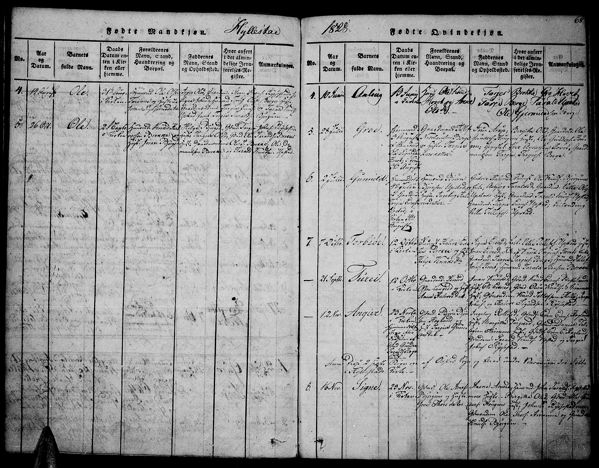 Valle sokneprestkontor, AV/SAK-1111-0044/F/Fa/Fac/L0005: Parish register (official) no. A 5 /2, 1817-1831, p. 68