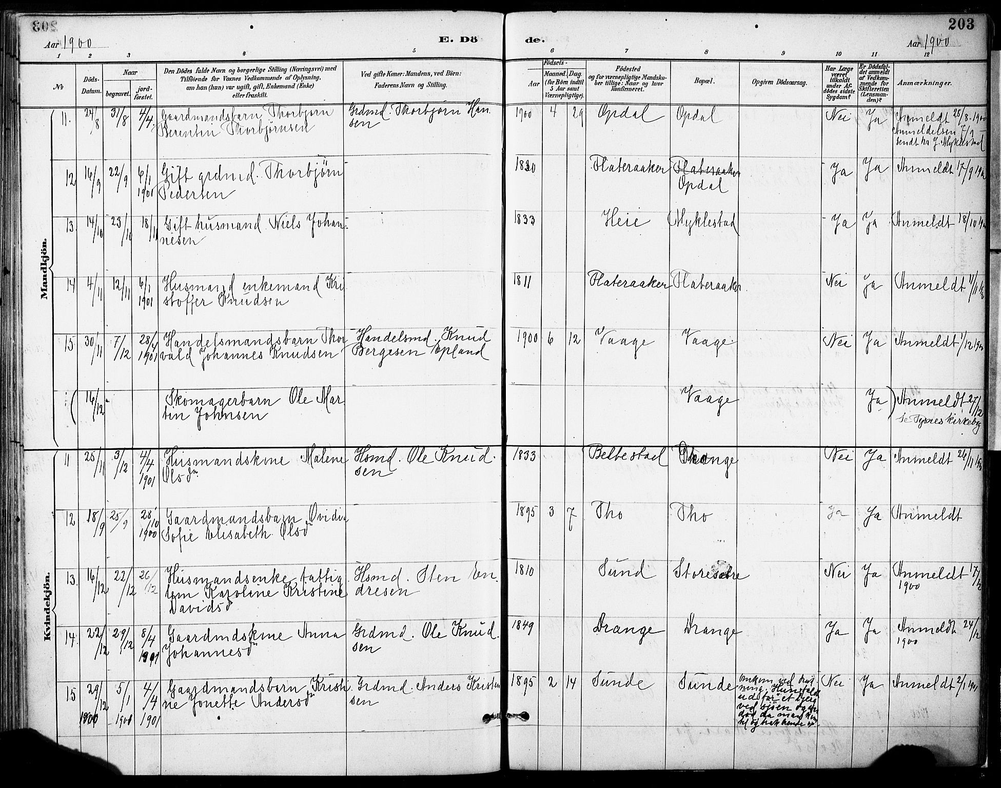 Tysnes sokneprestembete, AV/SAB-A-78601/H/Haa: Parish register (official) no. D 1, 1887-1904, p. 203