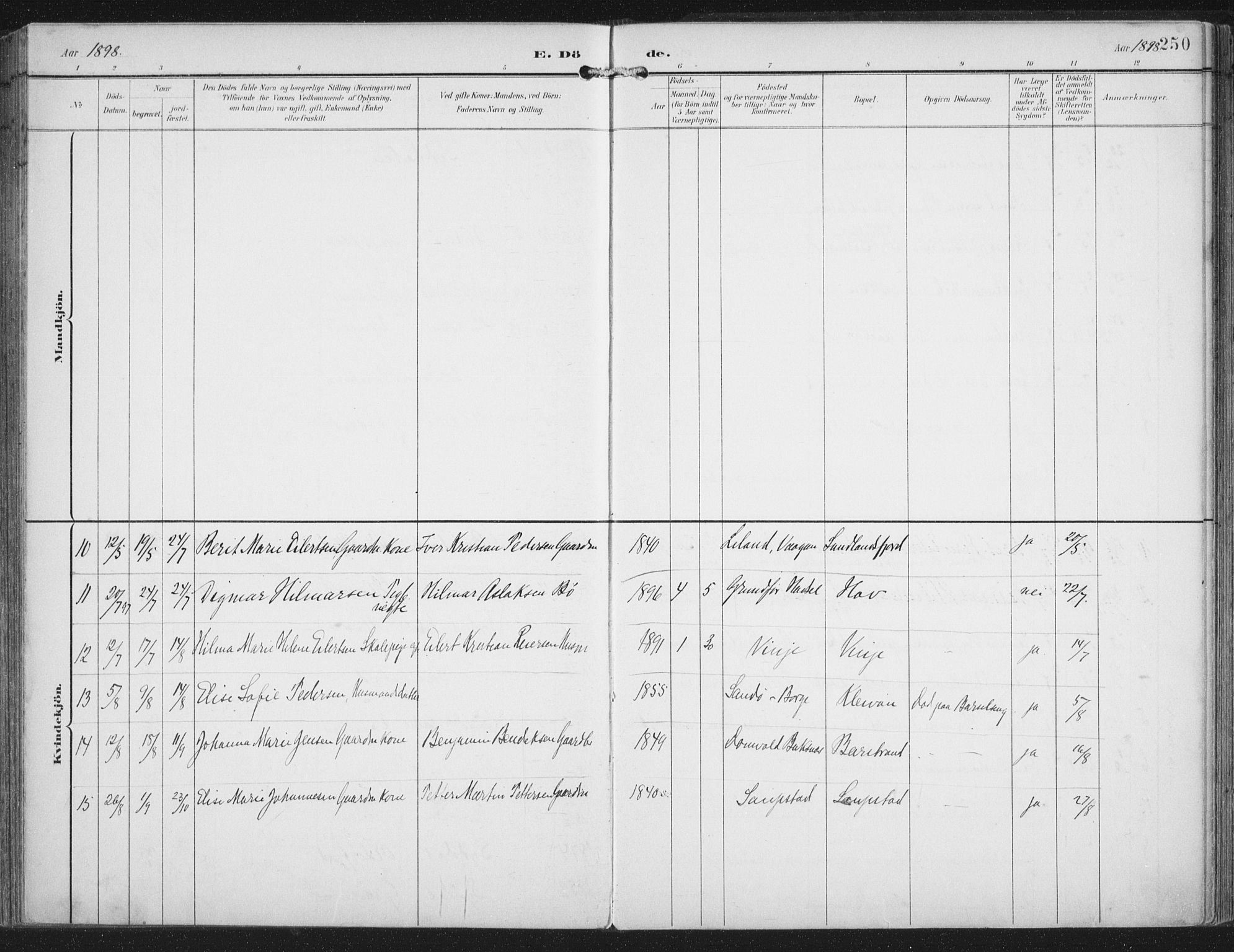 Ministerialprotokoller, klokkerbøker og fødselsregistre - Nordland, SAT/A-1459/876/L1098: Parish register (official) no. 876A04, 1896-1915, p. 250