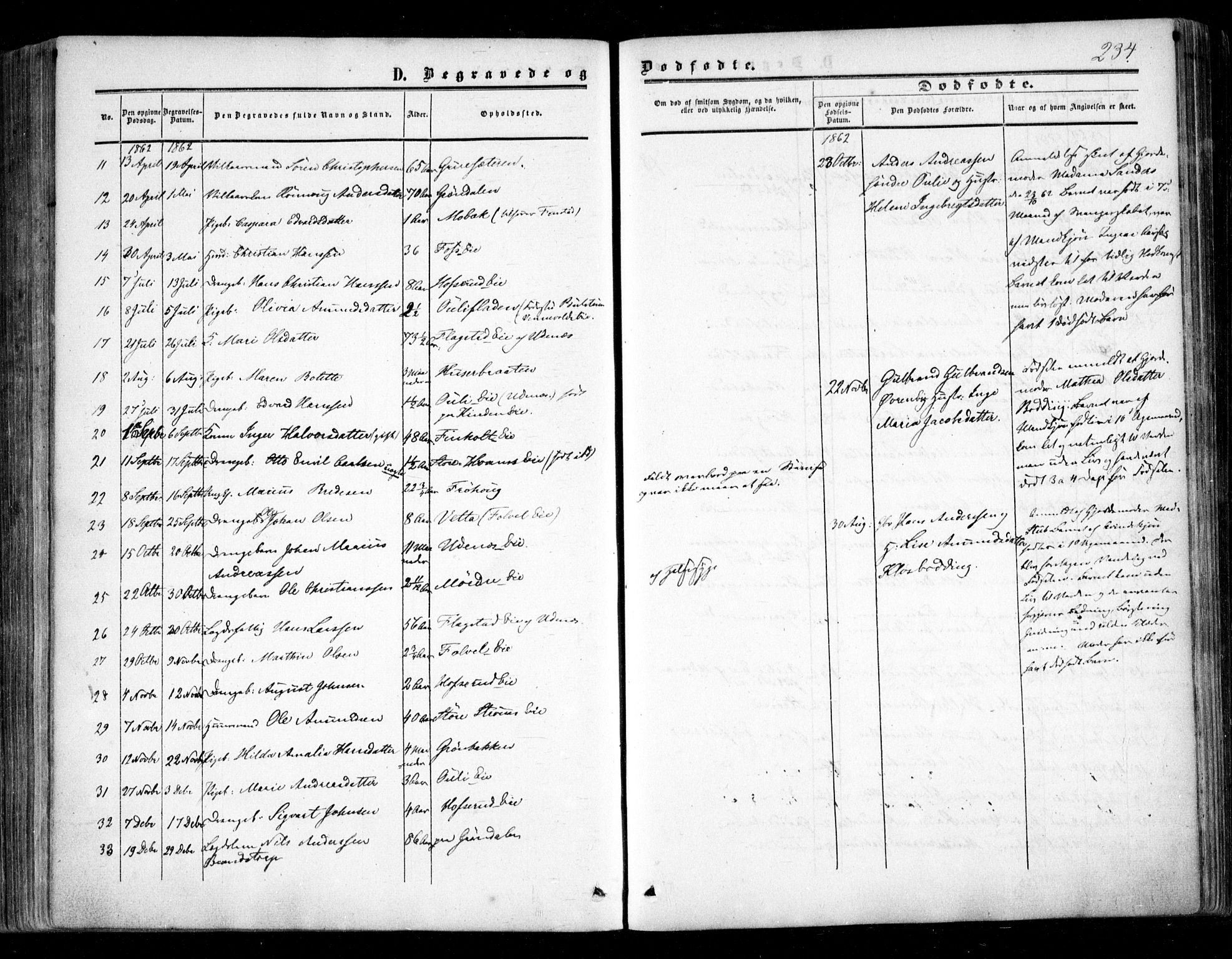 Nes prestekontor Kirkebøker, AV/SAO-A-10410/F/Fc/L0001: Parish register (official) no. III 1, 1859-1882, p. 234