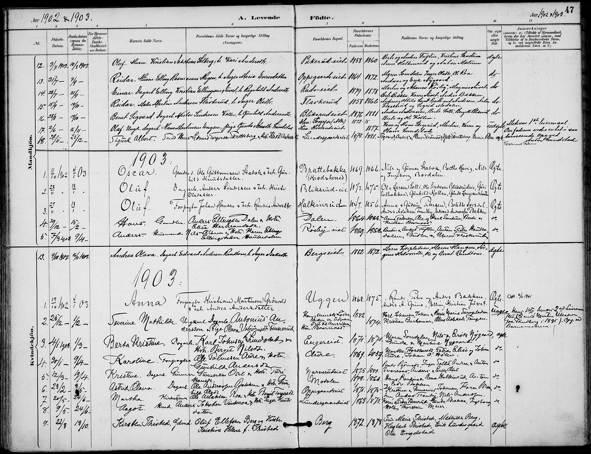 Lunder kirkebøker, AV/SAKO-A-629/F/Fa/L0001: Parish register (official) no. I 1, 1885-1912, p. 47