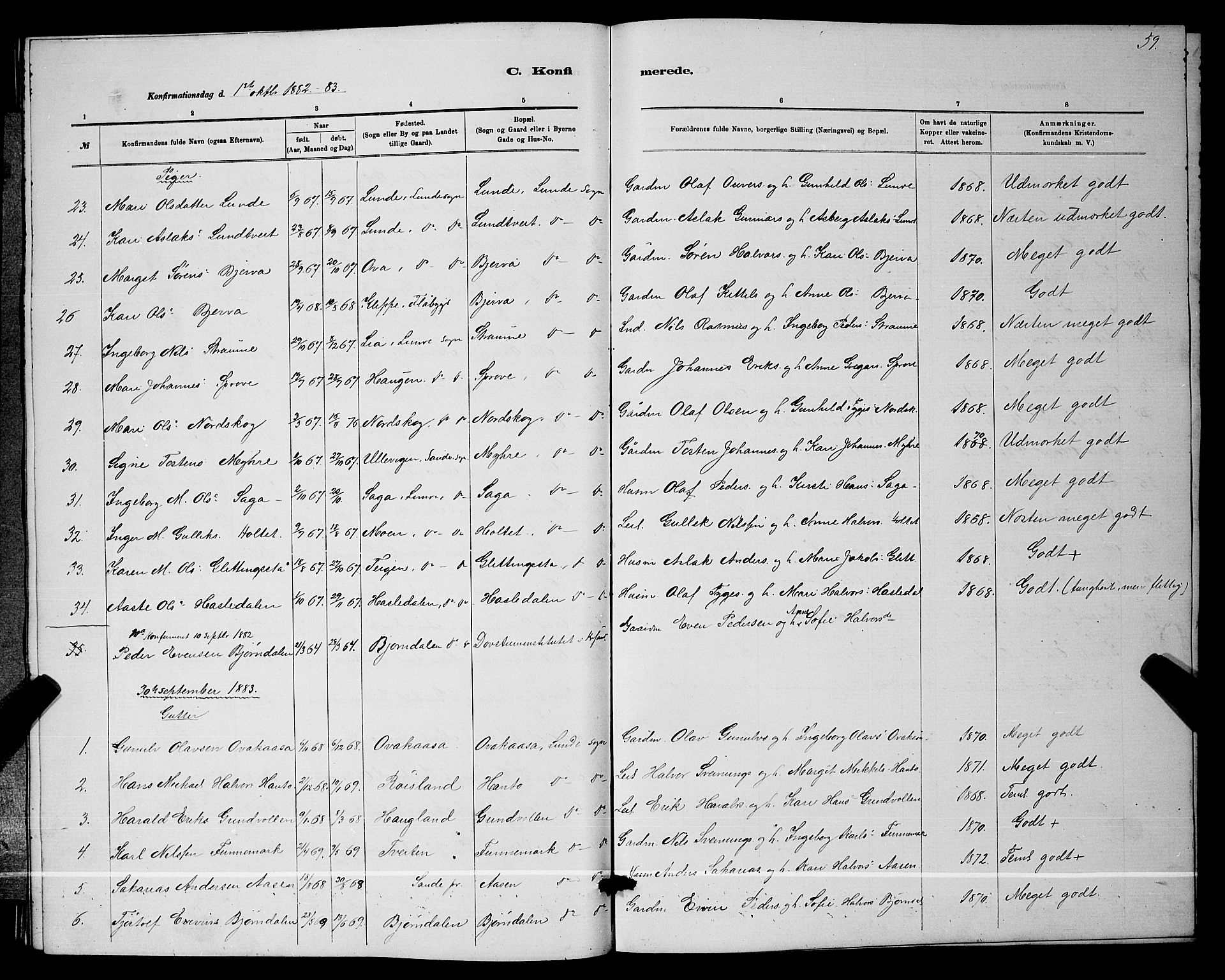 Lunde kirkebøker, AV/SAKO-A-282/G/Ga/L0001b: Parish register (copy) no. I 1, 1879-1887, p. 59