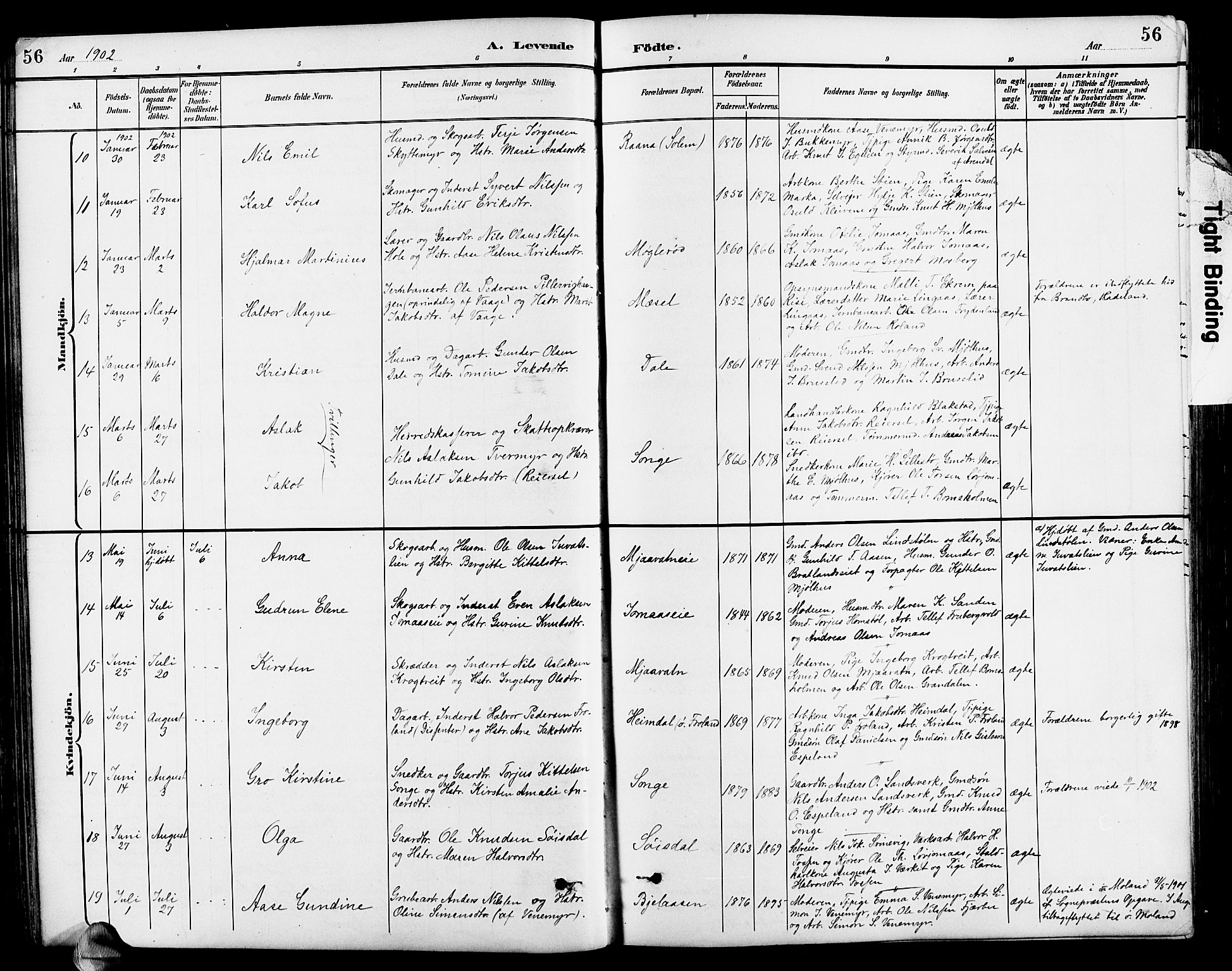 Froland sokneprestkontor, AV/SAK-1111-0013/F/Fb/L0010: Parish register (copy) no. B 10, 1893-1920, p. 56