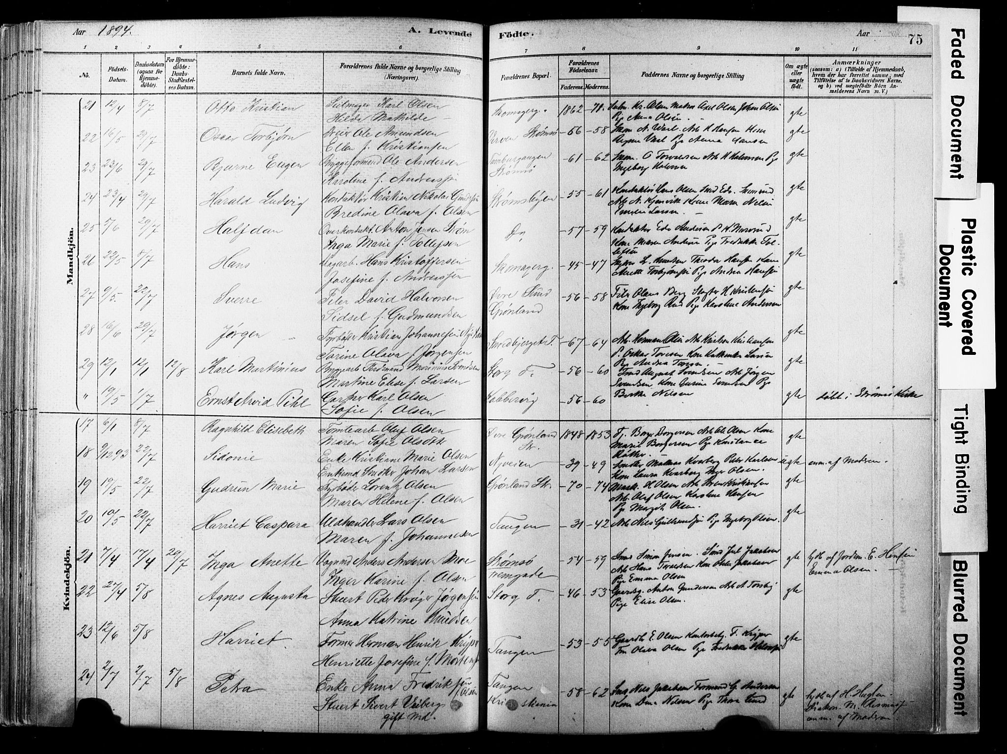 Strømsø kirkebøker, AV/SAKO-A-246/F/Fb/L0006: Parish register (official) no. II 6, 1879-1910, p. 75