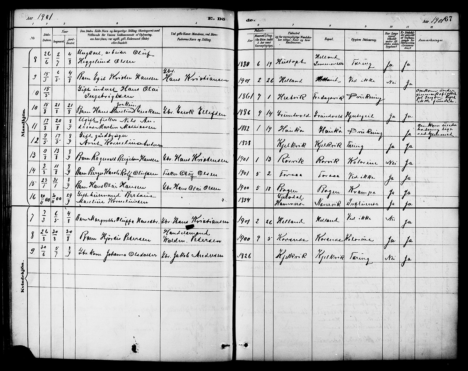 Ministerialprotokoller, klokkerbøker og fødselsregistre - Nordland, AV/SAT-A-1459/861/L0870: Parish register (official) no. 861A05, 1889-1903, p. 67