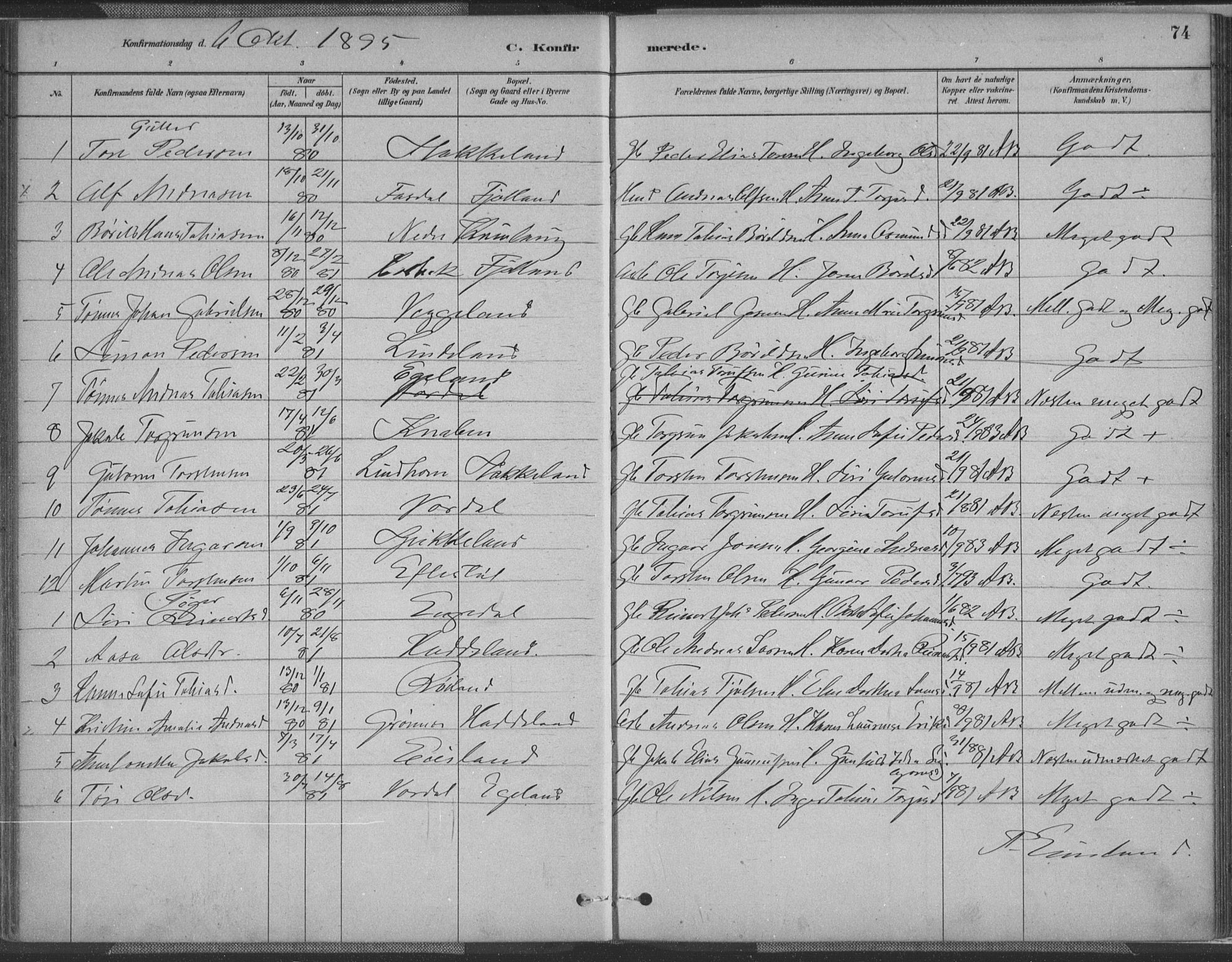 Fjotland sokneprestkontor, SAK/1111-0010/F/Fa/L0002: Parish register (official) no. A 2, 1880-1898, p. 74