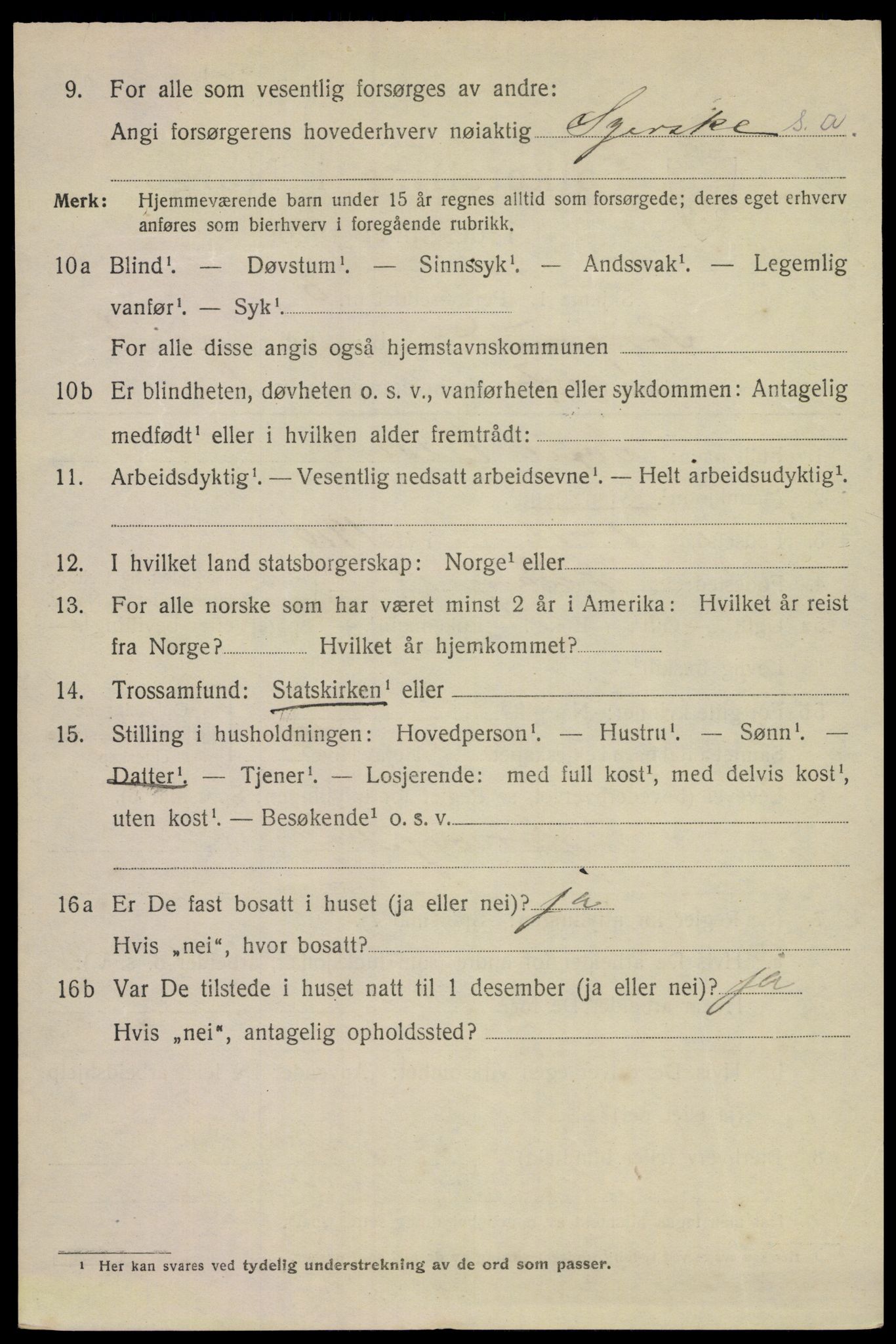 SAKO, 1920 census for Porsgrunn, 1920, p. 14764