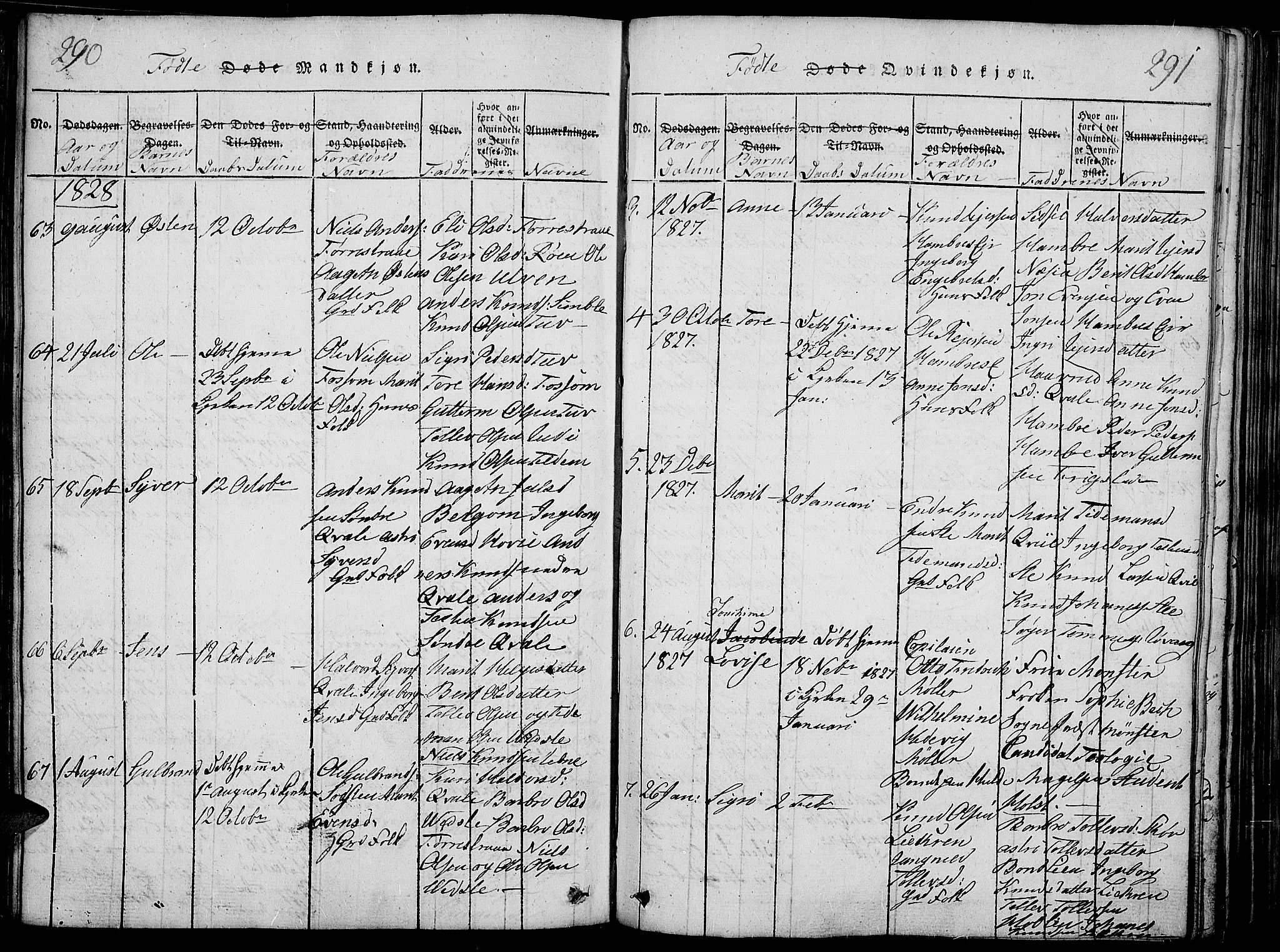 Slidre prestekontor, SAH/PREST-134/H/Ha/Haa/L0002: Parish register (official) no. 2, 1814-1830, p. 290-291