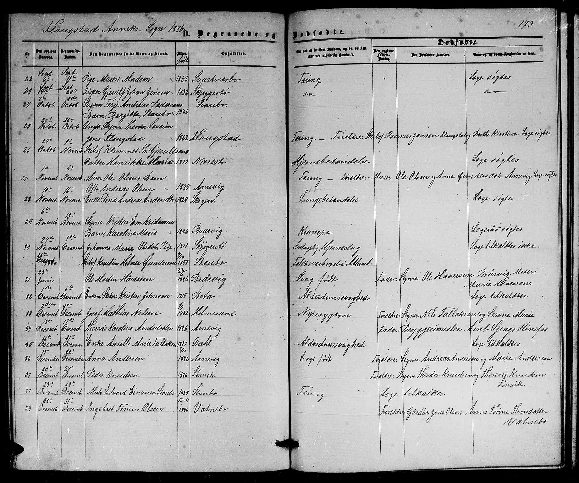 Dypvåg sokneprestkontor, AV/SAK-1111-0007/F/Fb/Fbb/L0003: Parish register (copy) no. B 3, 1872-1886, p. 173