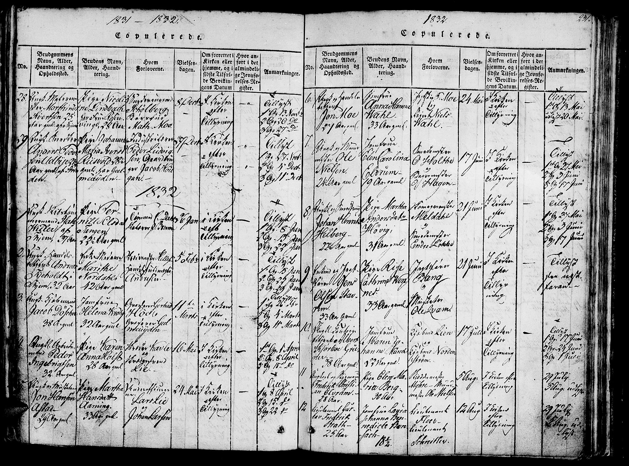 Ministerialprotokoller, klokkerbøker og fødselsregistre - Sør-Trøndelag, SAT/A-1456/602/L0135: Parish register (copy) no. 602C03, 1815-1832, p. 231